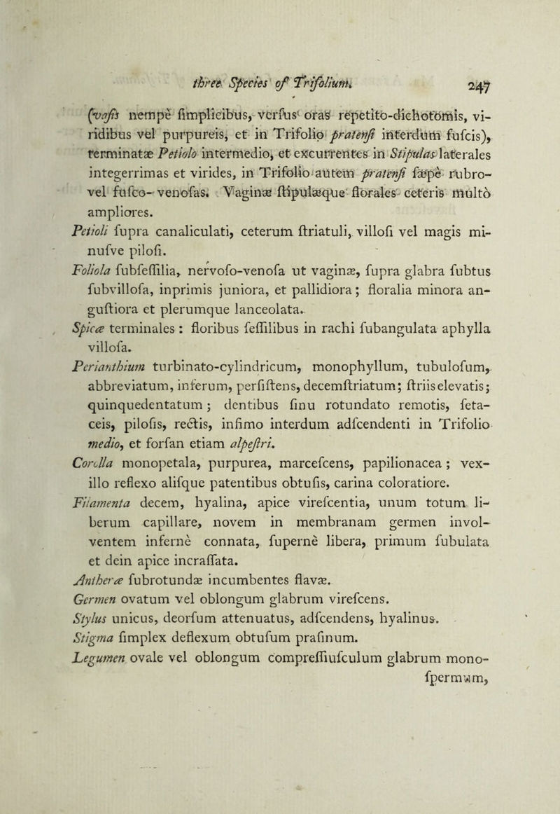 (vofo nempe fimplieibus, vcrfusv oraS repetito-dichot'brnis, vi- ridibus vel purpureis, et in Trifolip pratenfi inferdum fufcis), terminatae Petielo intermedio, et excurrentes in Stipulas- laterales integerrimas et virides, in Trifolio autem pratenfi fsefpe rubro- vel fufco- venofas. Vaginae ftipulaaque florales ceteris rtlulto ampliores. Petioli fupra canaliculati, ceterutn ftriatuli, villofi vel magis mi- nufve pilofi. Foliola fubfeffilia, nervofo-venofa ut vaginae, fupra glabra fubtus fubvillofa, inprimis juniora, et pallidiora; floralia minora an- guftiora et plerumque lanceolata.. Spicce terminales: floribus felfilibus in rachi fubangulata aphylla villofa. Perianthium turbinato-cylindricum, monophyllum, tubulofum, abbreviatum, inferum, perfiftens, decemftriatum; ftriiselevatis; quinquedentatum; dentibus finu rotundato remotis, feta- ceis, pilofis, rectis, infimo interdum adfcendenti in Trifolio medio, et forfan etiam alpefiri. Cordla monopetala, purpurea, marcefcens, papilionacea ; vex- illo reflexo alifque patentibus obtufis, carina coloratiore. Fiiamenta decern, hyalina, apice virefcentia, unum totum li- berum capillare, novem in membranam germen invol- ventem inferne connata, fuperne libera, primum fubulata et dein apice incraffata. Anther a fubrotundse incumbentes flavse. Germen ovatum vel oblongum glabrum virefcens. Stylus unicus, deorfum attenuatus, adfcendens, hyalinus. Stigma fimplex deflexum obtufum prafinum. Legumen ovale vel oblongum comprefliufculum glabrum mono- fpermvim,