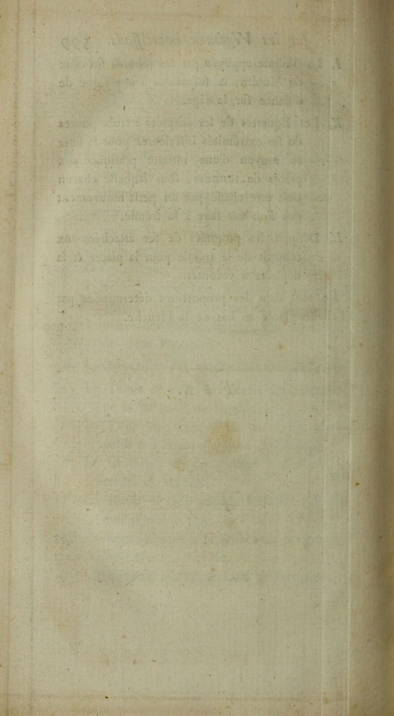: si vis En x 3 Et + Fu * \ #8 æ KA e » è si € ES ‘ — 2 5 - vit Le è KE + » en D s * w ‘ Lame Li ï < \ ' ‘ en ‘ N , s fe , Î 1 _ L ) K dr” ! { : » é re \ +} ds - Fu 1 a pr à 4 } 7 » : - ’ + à \ Ÿ N Sherr : ‘ ‘ ; Fe #