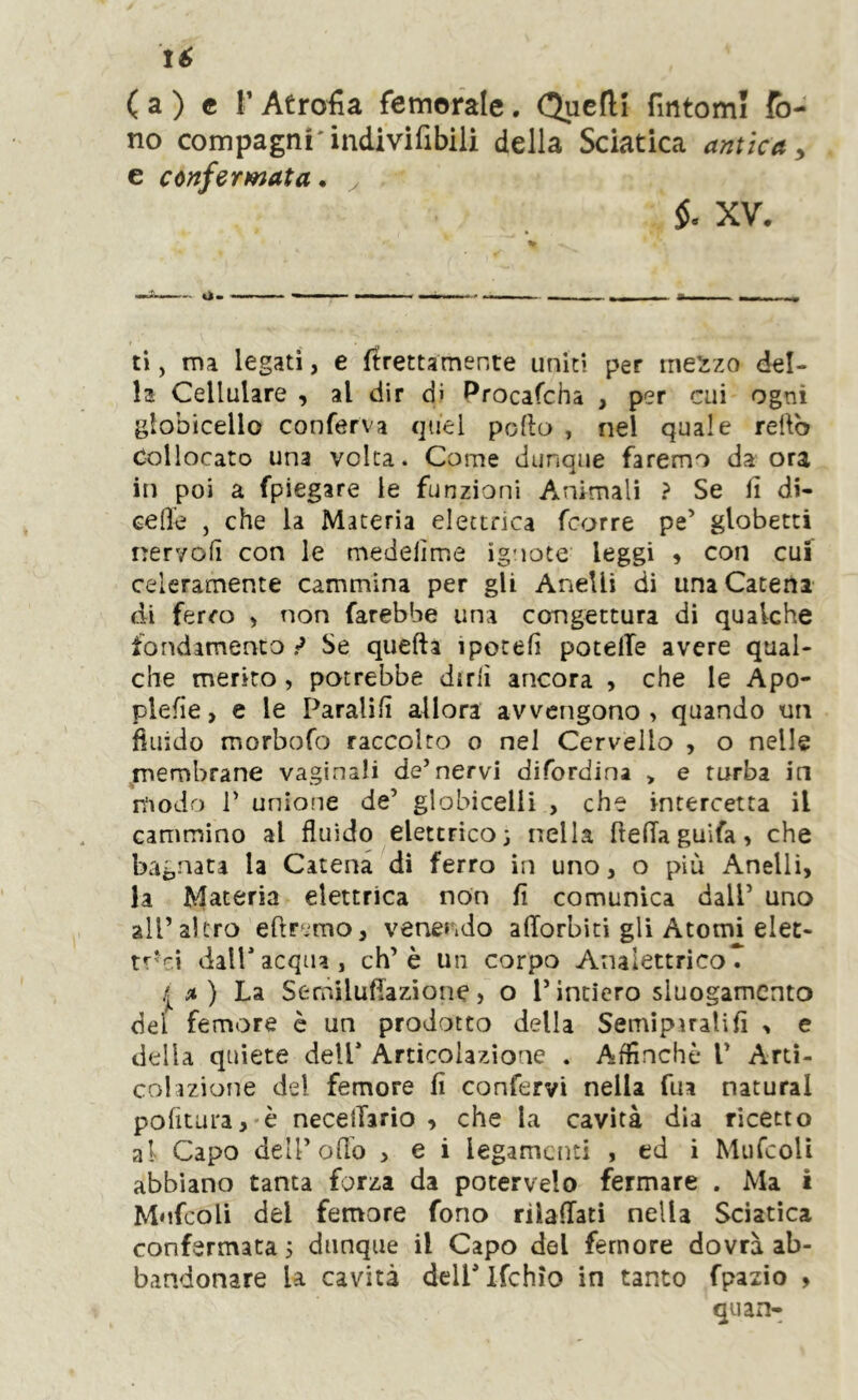 té (a) c l’Atropa femorale. Quelli fintomi fo- no compagni'indivifibili della Sciatica antica ^ e cónfermata. . §. XV. % ti, ma legati, e Itrettamente uniti per me^zo del- la Cellulare , al dir di Procafcha , per cui ogni globicello conferva quel pedo , nel quale redb Collocato una volta. Come dunque faremo da ora in poi a fpiegare le funzioni Animali ? Se fi di- ced'e , che la Materia elettrica feorre pe’ globetti nervofi con le medelime ignote leggi , con cui celeramente cammina per gli Anelli di una Catena di ferro > non farebbe una congettura di qualche fondamento ^ Se quefta ipotefi potelTe avere qual- che merito, potrebbe dirli ancora , che le Apo- plefie, e le Paralili allora avvengono, quando un fluido morbofo raccolto o nel Cervello , o nelle ^membrane vaginali de’nervi difordina > e turba in modo r unione de’ globicelii , che intercetta il cammino al fluido elettrico} nella fteflaguifa, che bagnata la Catena di ferro in uno, o più Anelli, la Materia elettrica non fi comunica dalP uno air altro eftr^mo, venendo alTorbiti gli Atomi elet- trici dairacqua, eh’è un corpo AnaiettricoT a) La Semilufiazione, o l’intiero sluogamcnto del femore è un prodotto della Semipiralifi , e della quiete dell* Articolazione . Affinchè V Arti- colazione del femore fi confervi nella fua naturai politura,*è necelTario , che la cavità dia ricetto al Capo dell’odo , e i legamenti , ed i MufeoU abbiano tanta forza da potervelo fermare . Ma i Mofcoli del femore fono riialTati nella Sciatica confermata, dunque il Capo del femore dovrà ab- bandonare là cavità delPlfchio in tanto fpazio , quan-