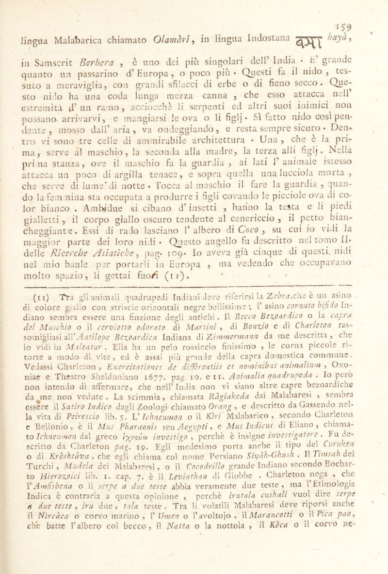 lingua Malabarica chiamato Olamari, in lingua Indostana 3 in Samscrit Berbera , è imo dei più singolari dell* India * E grande quanto un passerino d’Europa, o poco più* Questi fa il nido, tes- suto a meraviglia, con grandi sfilacci di erbe o di fieno secco. Que- sto nido ha una coda lunga mezza canna , che esso attacca nell estremità fi un ramo, acciocché li serpenti ed altri suoi inimici non possano arrivarvi, e mangiarsi le ova o li figlj * Sì fatto nido cosi pen- dente , mosso dall’aria, va ondeggiando, e resta sempre sicuro * Den- tro vi sono tre celle di ammirabile architettura * Una , che è la pri- ma,' serve al maschio, la seconda alla madre, la terza all! figlj. Nella prima stanza, ove il maschio fa la guardia , ai lati 1’animale istesso attacca un poco di argilla tenace, e sopra quella una lucciola morta , che serve di lume* di notte • Tocca al maschio il fare la guardia , quan- do la femmina sta occupata a produrre i figli covando le picciole ova di co- lor bianco . Ambedue si cibano d’insetti , hanno la testa e li piedi gialletti , il corpo giallo oscuro tendente al cenericcio , il petto bian- cheggiante. Essi di rado lasciano l’albero di Coco , su cui io vidi la maggior parte dei loro nidi » Questo augello fu descritto nel tomo II* delle Ricerche Asiatiche, pag* 109. Io aveva già cinque di questi nidi nel mio baule per portarli in Europa , ma vedendo che occupavano molto spazio, li gettai fuo/1 (ir). * \ (li) Tri gli animali quadrupedi Indiani deve riferirsi la Zebra,che è un asino . di colore giallo con strisele orizontali negre bellissime ; 1’ asino cornuto bifido in- diano sembra essere una finzione degli antichi. Il Becco Be^oardico o la capra del Muschio o il cerviotto odorato di Martini , di Bornio e di Charleton ras- somigliasi all’ Antilope Bezoardica Indiana di Zirnmermann- da me descritta? che io vidi in Maleatur . Ella ha un pelo rossiccio finissimo ? le corna piccole ri- torte a modo di vite, ed è assai più grande della capra domestica commune. Vedassi Charleton ? Exercitationes de diffèrentiis et nominibus ammalium ? Oxo- niae e Theatro Sheldoniano 1677. pag io. en. Ammalia quadrupeda , Io però non intendo di affermare, che nell5 India non vi siano altre capre bezoardicne da me non vedute . La scimmia, chiamata Ràgiakeda dai Malabaresi , sembra essere il Satiro Indico dagli Zoologi-chiamato Orang , e descritto da Gassando nel- la vita di Peirescio lib. 5. li Ichneumon o il Kìri Malabarico , secondo Charleton e Bellonio, è il Mus Pharaonis seu Aegypti, e Mus Indicus di Ebano , chiama- to Ichneumon dal greco ìyvovcò investigo , perchè è insigne investigatore , Fu de- scritto da Charleton pag. 19. EMi medesimo porta anche il tipo del Curuken o di Kròshtàva , che egli chiama col nome Persiano Siyàh-Ghush . Il Timsah dei Turchi , Mudela dei Malabaresi, o il Cocodrillo grande Indiano secondo Bochar- to tìierazoici lib. 1. cap. 7. è il Leviathan di Giobbe . Charleton nega , che ì5Amfishena o il serpe a due teste abbia veramente due teste, ma 1 Etimologia Indica è contraria a questa opinione , perchè irutala cushali vuol dire serpe a due teste , iru due, tuia teste . Tra li volatili Malabaresi deve riporsi anche il Nzrcàca o corvo marino, l5 Ihnen o Pavoltojo , il Marancotti o il Pica pao, che batte l’albero col becco, i! Ratta o la nottola , il Kòca o il corvo ne**