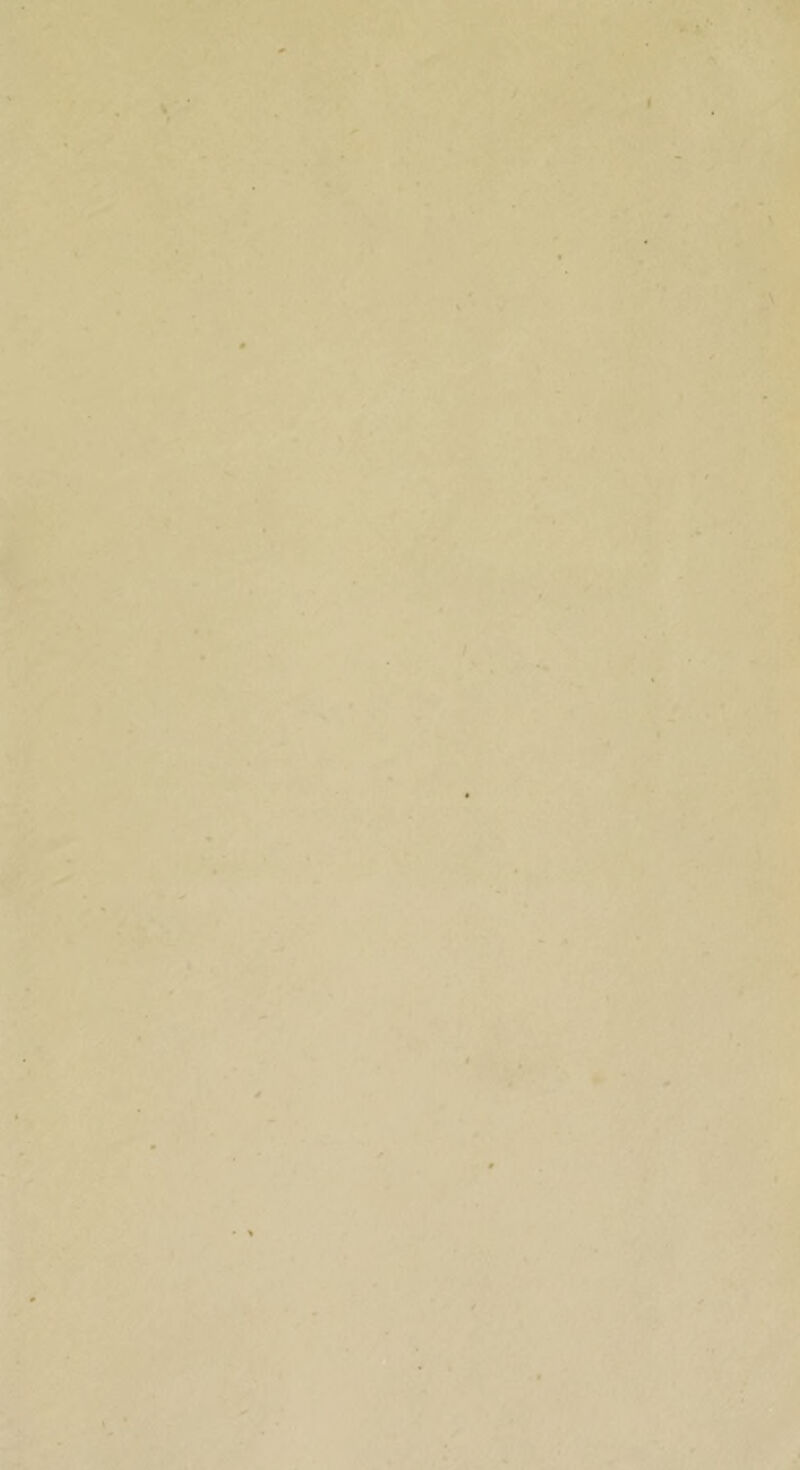 s» s . IV'V-’'- . •?> *• ♦;*' t \ < f ^ f < \ t *» * ^