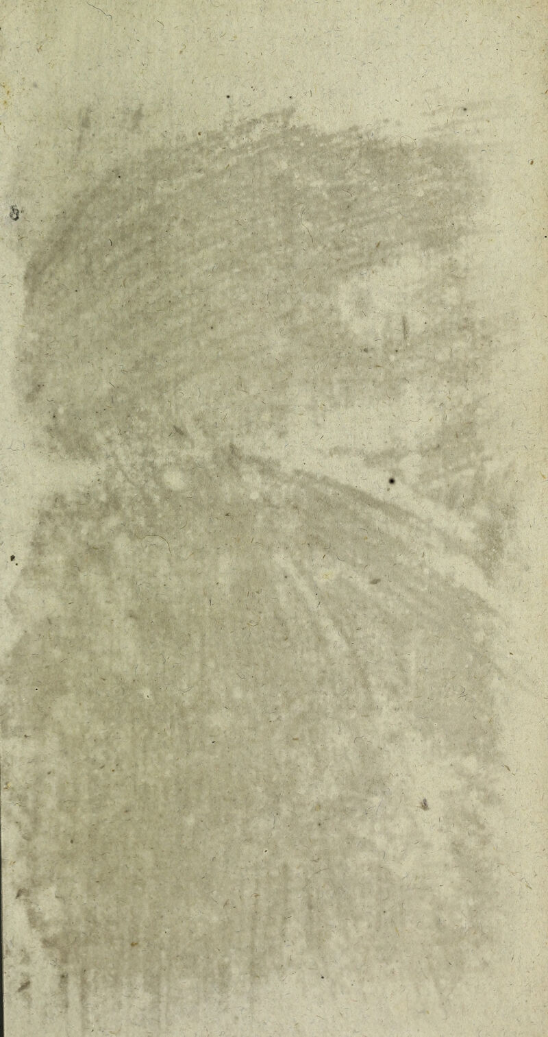 Mik .4 Å-’-'^ *'• ‘il - •■ -■ ■ ..,_ _ , .., , _ J:- H,, -.i, J.'■%i^',. '• ■' '■ '■■' ■ JS -l'^ ] ' ■ >r -V-*’ '■' ^ -■ ■ -■■ ■''* i .■ ' . ■- ‘ '“t- r? ,';■: ;/ ■■'“ - ';-4^-h ^ n. Vi.. .. '•■ ^ •. - «*#' ■■^' ^ ^ T-