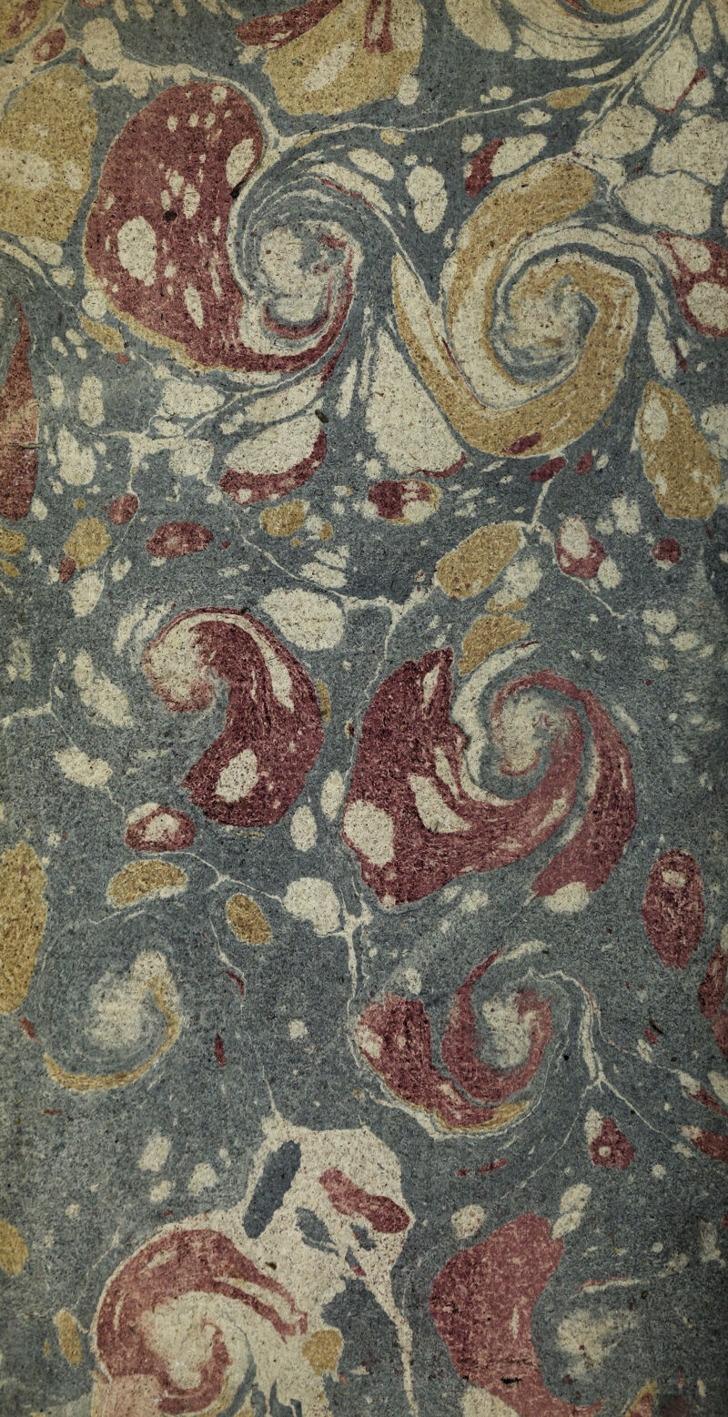 No text description is available for this image