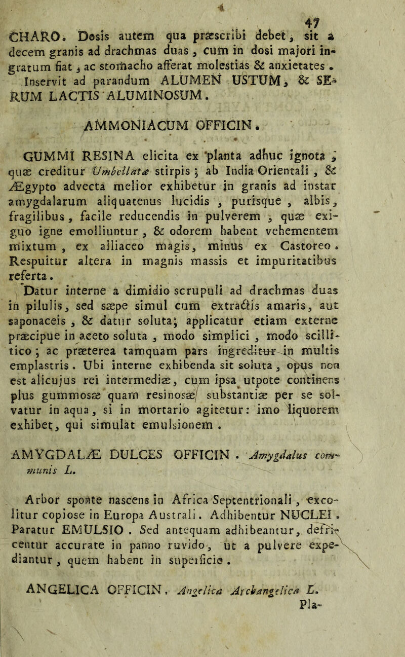 ^7 CHARO. Dosis autem qua praescribi debet, sit a decem granis ad drachmas duas , cutn in dosi majori in- gratum fiat i ac stoiUacho afferat molestias & anxietates • Inservit ad parandum ALUMEN USTUM, & SE^ RUM LACTIS ALUMINOSUM. AMMONiACUM GFFICIN. GUMMt RESINA elicita ex 'planta adhuc ignota quse creditur Umbellat^ stirpis ; ab India Orientali , & ^Egypto advecta melior exhibetur jn granis ad instar amygdalarum aliquatenus lucidis , purisque , albis, fragilibus, facile reducendis in pulverem , quae exi- guo igne emolliuntur , & odorem habent vehementem mixtum, ex aiiiaceo magis, minus ex Castoreo* Respuitur altera in magnis massis et impuritatibus referta. y Datur interne a dimidio scrupuli ad drachmas duas in pilulis, sed saepe simul cum extradis amaris, aut saponaceis , & datur soluta; applicatur etiam exterae praecipue in aceto soluta , modo simplici , modo scilii* tico ; ac praeterea tamquam pars ingredftur^n multis emplastris . Ubi interne exhibenda sit soluta, opus ncfi est alicujus rei intermedias, cum ipsa^ utpote continens plus gummosre quam resinosae/ substantiae per se sol- vatur inaqua, si in mortarib agitetur: imo liquorem exhibet, qui simulat emulsionem . ^ AMYGDAL/E DULCES OFFICIN . AmygiUlus com- munis L, Arbor sponte nascens in Africa Septentrionali, •exco- litur copiose in Europa Australi. Adhibentur NUCLEI . Paratur EMULSIO . Sed antequam adhibeantur, deffir centur accurate in panno ruvido, ut a pulvere expe- diantur , quem habent in supeibcie . ANGELICA OFFICIN, Angelica Archangelica L. Pia-