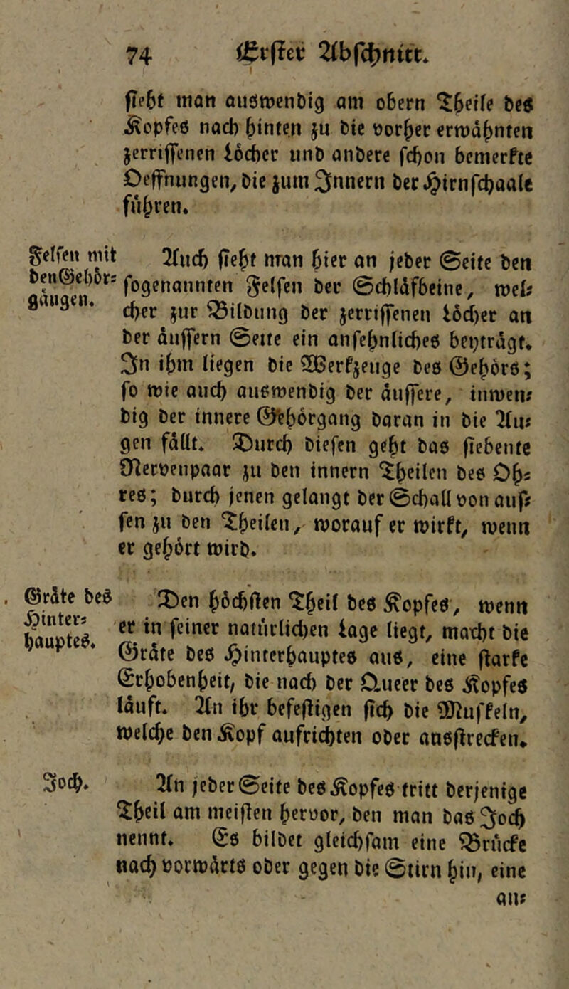 |Te6f man ouömcnbig am o&ern ZSeite be$ Mopfeö nach hinten ju btc nor^er ermahnten jernffenen locbcc iinb anöerc fd)on bemerfte Deffnungen, öie jum Innern ber Älrnfcbaale fuhren, gelfe« mit 2(ucb fte^t nran 6ier an ;cber 0ctfc beti fogenanntm Reifen bcc 0d)l(ifbeinc, web ® ^ * cber jur Gilbung bet jerriffenen I6d)cr att ber duflfern 0eifc ein anfe^ntlcbeö betjtrdgf, ^n i^m liegen bie 3Berfjeuge beö @e()örö; fo mie auch ausmenbig ber dujfere, tnwem big ber innere @^()6rgang baran in bie TTiu gen fäüt* SDutd) biefen ge^t baö fiebente SRernenpaar ju ben innern '^beden bee Ob« res; bureb jenen gelangt ber 0cbaU von auf* fen jii ben ^heilen, worauf er wirft, wenn er geehrt wirb» ©rate beö ^^en ^öcb'aen ‘J^eil beö ^opfeö, wenn Stck naturlicben tage liegt, marbt bie ^ * ©rdte beö .^inrerbaupteö auö, eine ^arfc Srbobenbeit, bie nach ber D.ueer beö ^opfeö läuft. 2(n ibr befefligen fic^ bie 5J^uffeIn, Welche benÄopf aufriebten ober auöfireefen* 3ocb. 2(n jeber0eife beöÄopfeö tritt berjentge am mciflen beroor, ben man baö 3^ocb nennt» Sö bilbet gleicbfam eine ^ruefe nach norwärtö ober gegen bie 0tirn bin, eine