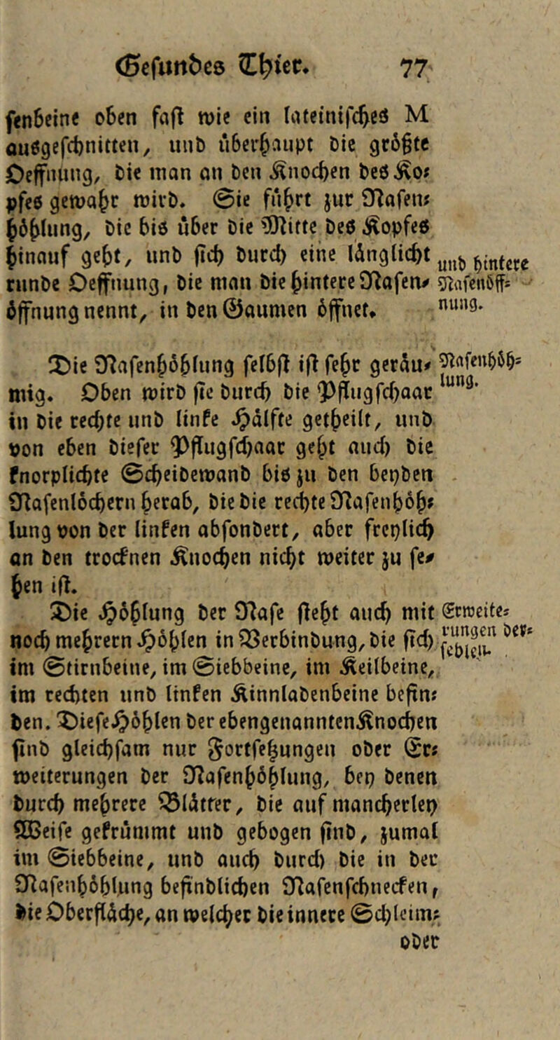 fen6eine o6cn fa|^ roie ein tatetntf4eis M ouö9efct)nitten, iiub u6er^aupt Die gr6§tc Oeffiuing, Die man on Den Änoc^cn Deöi^OJ pfeß gema^r mivD. 0ie fn^rt jur Qflafem ^6(>lung, Die bi6 über Die ^itte Deö Äopfeß ^innuf gebt, unD firf) Dued) eine unb Hintere runDe Oeffnung, Die mau Die hintere Sflafcu# 5^af€nöff= Öffnung nennt, in Den ©aumen öffnet* itJie Syiafenböbfung felbfl ifl febr geräu# mig. Oben mirD fie Durch Die 'P^iigfcbaac in Die rechte unD linfc ^dlfte getbeilt, unD t)on eben Diefer Q^flugfihaar gebt auc{) Die fnorplichte @cheiDemanD biöjn Den bepDcn SRafenlochern betub. Die Die rechte QRafenbob» lungpon Der linfen abfonDert, aber freplich an Den troefnen Knochen nicht weiter ju fe# Jen ifl. 5bic .^öbtung Der O^afe fiebt auch mit Scroeite* noch mebrern ^6b(en in iSerbinDung, Die ft<i) im @tirnbetne, im 0iebbeine, im Keilbeine, im rechten iinD linfen ÄinnlaDcnbeine beftn; Den. X)iefe.^6blen Derebengenannten-Änochen finD gleichfam nur ^ortfebungen oDer ©r; Weiterungen Der S^afenböblung, bep Denen Durch mehrere ^lötfer. Die auf manchcrlep 5Bcifc gefrummt unD gebogen finD, jumal im 0iebbeine, imD auch Durd) Die in Der QRafenböblung befxnDlichen SRafenfehneefen f Die Oberfläche, an welcher Die innere 0d)leimf