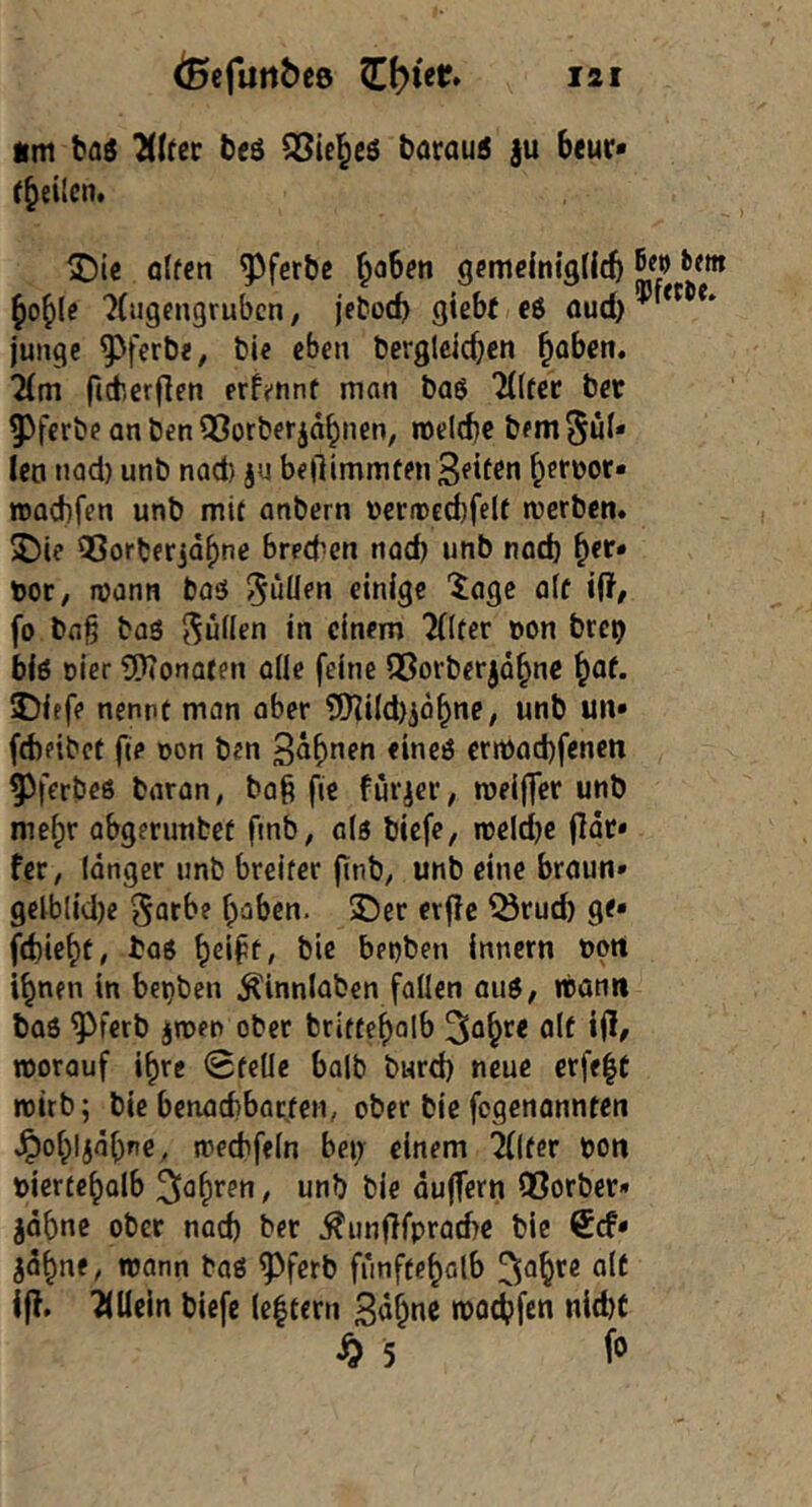 «m bas beö bdrau6 }u beur* (feilen. ^ic o(fcn ^ferbe b^bm gemcinigtlcb bo^le ^(»gengruben, jeboeb gißbi eö junge ^ferbe, bie eben bergleicben b^ben. lim ficberflen erfi-nnt man baö TKfec bet ^ferbeanbenSSorberjobnen, roeicbe bem^u^' Ico nad) unb nad) ju beftimmfen Seifen b^foor« roaebfen unb mit anbern terii)ed)felf werben. 5Die QSorberjabnt breeben nad) unb nach b**'* bor, wann baö füllen einige “tage a(f iii, fo baß baö füllen in einem ^Hfer bon brcb biö öier 3!)Tonaren alle feine SSorberjäbne i^at. Diefe nennt man aber ?!)Zi(d)iobne; unb un» febeibet fie non ben errt)ad)fenen 55ferbeö baron, baß fie fürieV; meijfer unb mehr obgerunbef fmb, a(g biefe, weldje (Idt* feC/ länger unb breiter (inb^ unb eine braun» geiblid)e ^atbe b<ibßo- 3!5er erfic ^rud) ge» fd)iebt, ba^ benben Innern bon ihnen in beijben ^innlaben fallen auö, wann bae ^ferb iwen ober brittebalb Sob*^^ worauf ibre 0fclle halb bwrd) neue erfe^t wirb; bie benaebbatten, ober bie fogenannten Jpobljäbne, weebfein bei; einem ‘ilfer bon biertebolb äujTern ®orber* jäbne ober nad) ber ^imfifpracbe bie ^cf» jäbne^ wann baö ^ferb funftcbalb ifl. TlUcln biefe (e|tern 3ob*^ß wo^fen nld)C s> 5 f»