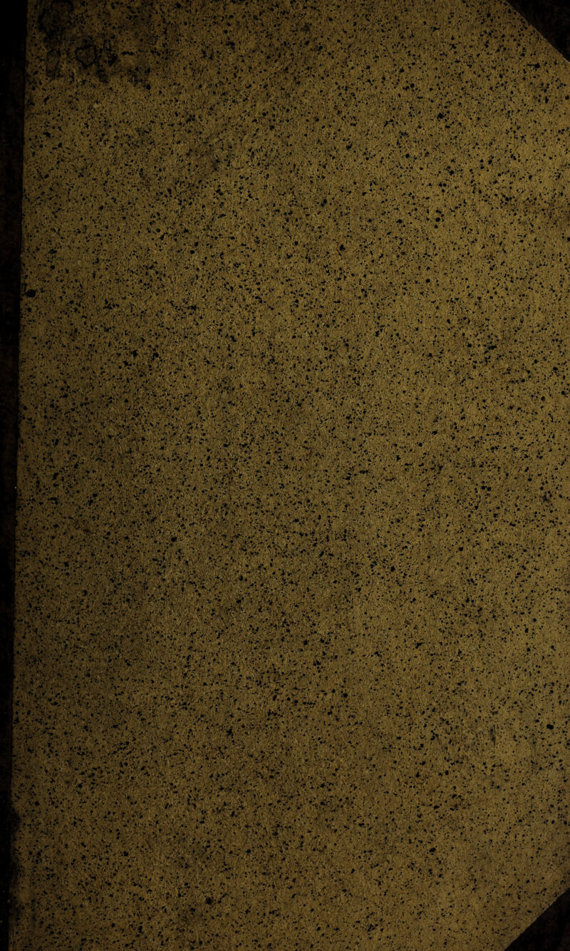 • • *• ... Si«i «ii ^r-te i: r i?..-.;. :if • $*ww- V : WMI ;«5. «'feVjVi HI iKiitSSl«sis® PiSsKSS®! : ;■ ^