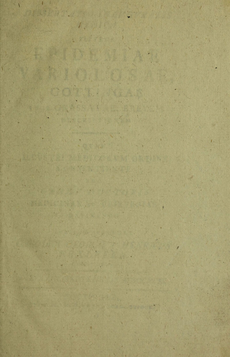 HV' 'i ■* < \ ( i i i i