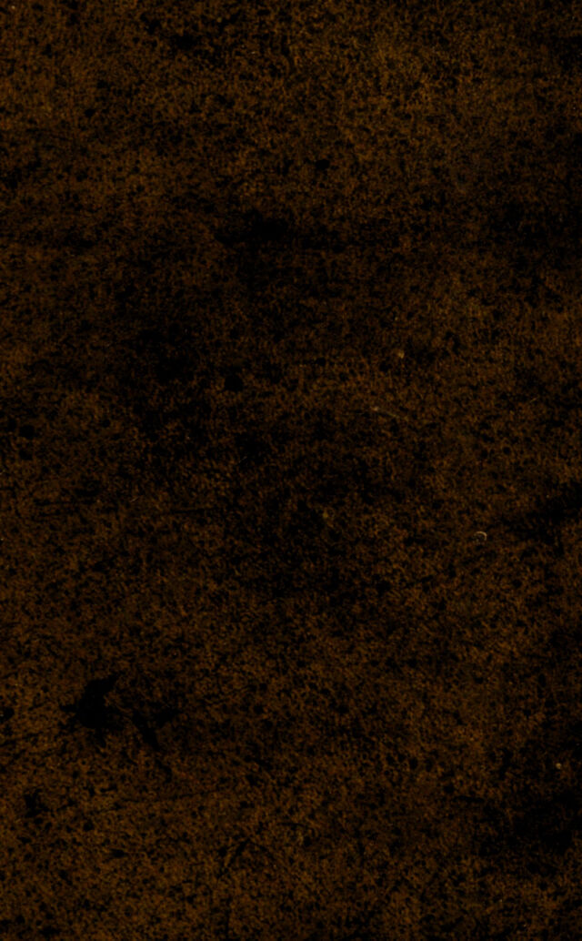 digitised image 1