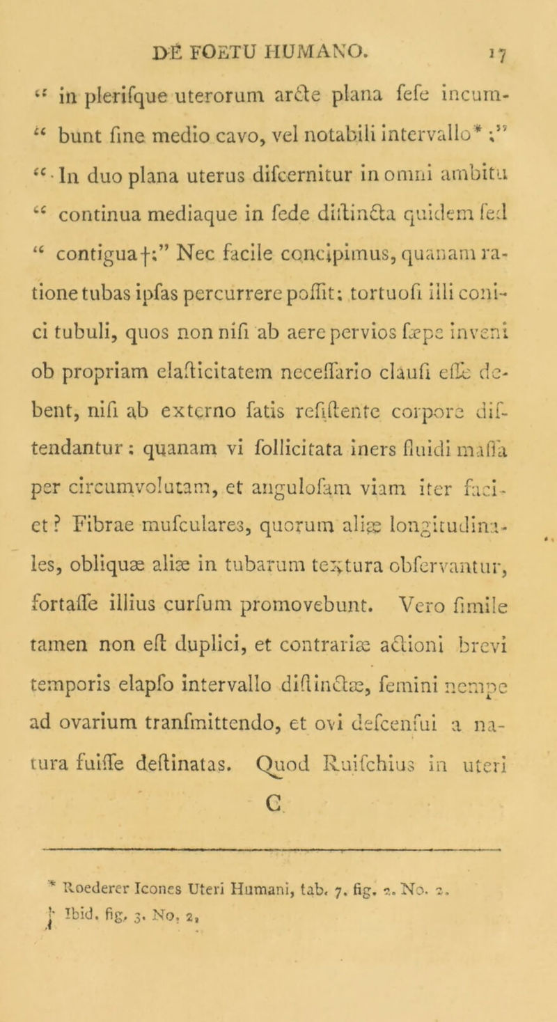 11 in plerifque uterorum arde plana fefe incum- u bunt fine medio cavo, vel notabili intervallo * ;5' “ ln duo plana uterus difcernitur in omni ambitu cc continua mediaque in fede dhlinda quidem fed “ contiguaf;” Nec facile concipimus, quanam ra- tione tubas ipfas percurrere poffit; tortuofi illi coni- ci tubuli, quos non nifi ab aere pervios fepe inveni ob propriam eladicitatem necelfario claufi efib de- bent, nifi ab externo fatis reddente corpore dif- tendantur; quanam vi follicitata iners fluidi mada per circumvolutam, et angulofam viam iter faci - et ? Fibrae mufculares, quorum aliae longitudina- les, obliquae aliae in tubarum tectura obfervantur, fortafle illius curfum promovebunt. Vero fimile tamen non effc duplici, et contrariae aclioni brevi temporis elapfo intervallo difi Indae, femini nempe ad ovarium tranfmittcndo, et ovi defcenfui a na- tura fuide deflinatas. Quod Ruifchius in uteri C * Xoederer Icones Uteri Humani, tab. 7. fig. No. 2. ?• Ibid. fig. 3. No. 2,