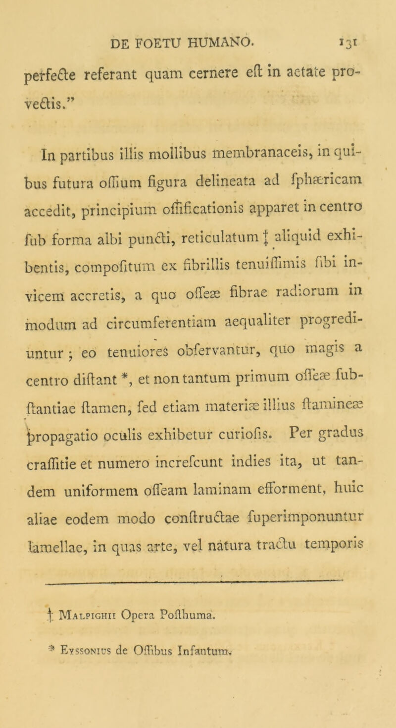 perfe&e referant quam cernere effc in aetate pro- veftis.” In partibus illis mollibus membranaceis, in qui- bus futura odium figura delineata ad fphsericam accedit, principium ofiificationis apparet in centro fub forma albi puncli, reticulatum { aliquid exhi- bentis, compofitum ex fibrillis tenuiflimis fibi in- vicem accretis, a quo offe3e fibrae radiorum in modum ad circumferentiam aequaliter progredi- untur ; eo tenuiores obfervantur, quo magis a centro difiant * *, et non tantum primum ofieae fub- flantiae flamen, fed etiam materis illius flaminem propagatio oculis exhibetur curiofis. Per gradus crafiitie et numero increfcunt indies ita, ut tan- dem uniformem offeam laminam efforment, huic aliae eodem modo conflru&ae fu per imponuntur lamellae, in quas arte, vel natura traclu temporis 1 Malpighii Opera Poflhuraa. * Evssonius de Oflibus Infanturn,