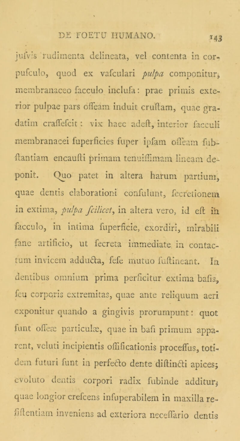 juivis rudimenta delincata, vel contenta in cor- pufculo, quod ex vafculari pulpa componitur, membranaceo facculo inclufa: prae primis exte- rior pulpae pars offeam induit cruflam, quae gra- datim craffefcit : vix haec adeft, interior facculi membranacei fuperficies fuper ipfam ofFeam fub- ftantiam encaufti primam tenuiffimam lineam de- ponit. Quo patet in altera harum partium, quae dentis elaborationi confidunt, fecretionem in extima, pulpa fcilicet, in altera vero, id eft ih facculo, in intima fuperficie, exordiri, mirabili fane artificio, ut fecreta immediate in contac- tum invicem adducta, fcfe mutuo fuftineant. In dentibus omnium prima perficitur extima bafis, fcu corpqris extremitas, quae ante reliquum aeri exponitur quando a gingivis prorumpunt: quot lunt oheac particulae, quae in bafi primum appa- rent, vel uti incipientis offificationis proceffus, toti- dem futuri funt in perfecho dente diflin6U apices; evoluto dentis corpori radix fubinde additur; quae longior crefcens infuperabilem in maxilla re- iiflentiam inveniens ad exteriora neceflario dentis