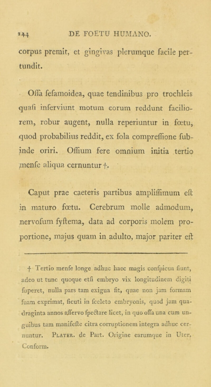 corpus premit, et gingivas plerumque facile per- tundit. OiTa fefamoidea, quae tendinibus pro trochleis quali inferviunt motum eorum reddunt facilio- rem, robur augent, nulla reperiuntur in foetu, quod probabilius reddit, ex fola comprelhone fub- inde oriri. Oflium fere omnium initia tertio jnenfe aliqua cernuntur f• Caput prae caeteris partibus ampliffimum eft in maturo foetu. Cerebrum molle admodum, nervofum fyftema, data ad corporis molem pro- portione, majus quam in adulto, major pariter eit f Tertio menfe longe adhuc haec magis confpicua fiunt, adeo ut tunc quoque etfi embryo vix longitudinem digiti fuperet, nulla pars tam exigua fit, quae non jam formam fuam exprimat, ficuti in fceleto embryonis, quod jam qua- draginta annos affervo fpe£lare licet, in quo ofia una cum un- guibus tam manifefte citra corruptionem integra adhuc cer- nuntur. Flater, de Part. Origine earumque in Uter» Conform.