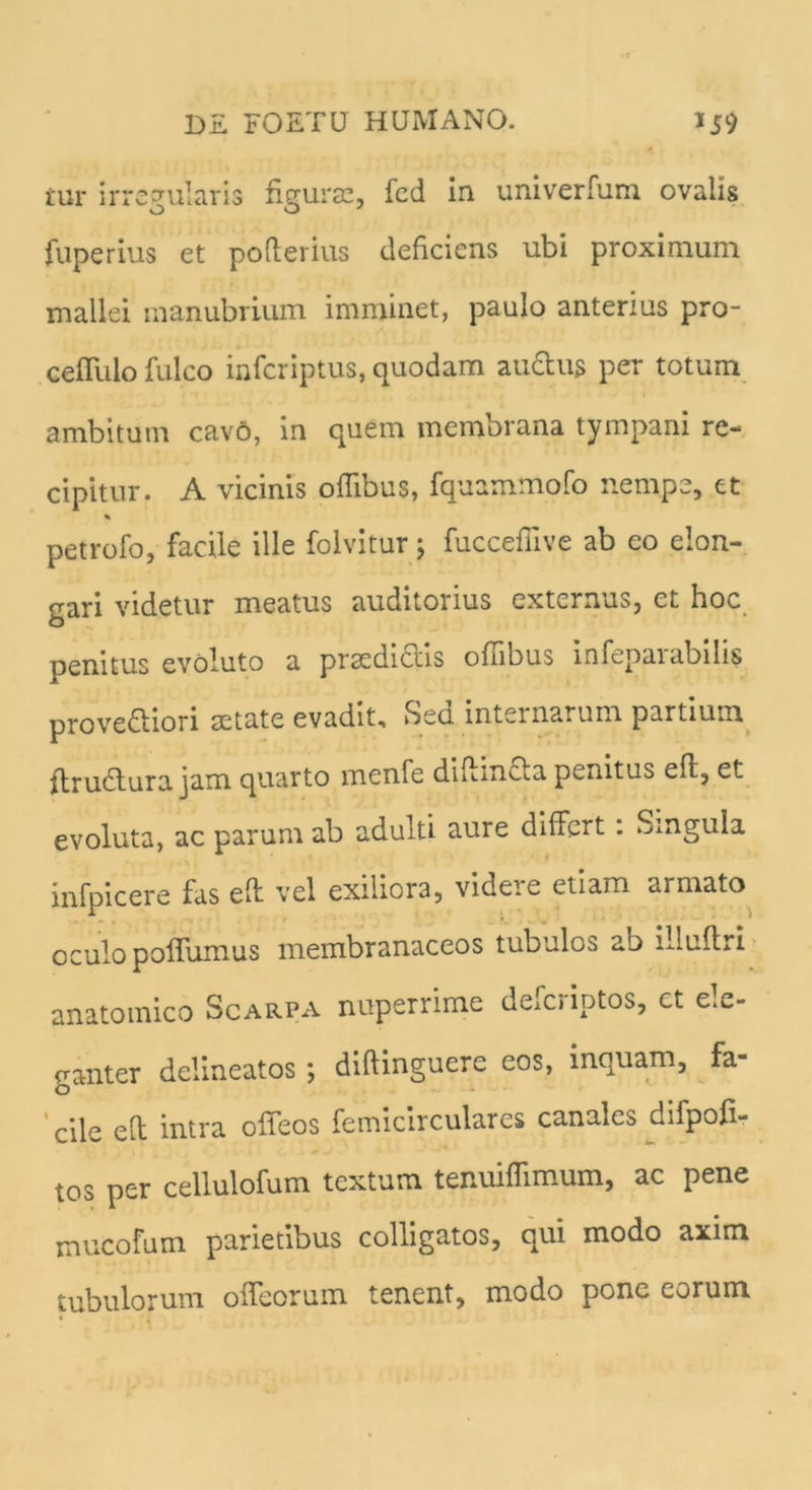 rur irregularis figurae, fed in univerfum ovalis fuperius et pofterius deficiens ubi proximum mallei manubrium imminet, paulo anterius pro- cefiiilo fulco infcriptus, quodam audus per totum ambitum cavo, in quem membrana tympani re- cipitur. A vicinis ofiibus, fquammofo nempe, et % petrofo, facile ille folvitur; fuccefiive ab eo elon- gari videtur meatus auditorius externus, et hoc penitus evoluto a pracdidis ofiibus infeparabilis provediori aetate evadit. Sed internarum partium itrudura jam quarto menle diftinda penitus eft, et evoluta, ac parum ab adulti aure differt. Smgula infpicere fas eff vel exiliora, videie etiam armato oculo poflumus membranaceos tubulos ab iliuffri anatomico Scarpa nuperrime deferiptos, ct ele- ganter delineatos •, diftinguere eos, inquam, fa- cile eft intra offeos femicirculares canales difpofi- tos per cellulofum textum tenuiflimum, ac pene mucofum parietibus colligatos, qui modo axim tubulorum offeorum tenent, modo pone eorum i