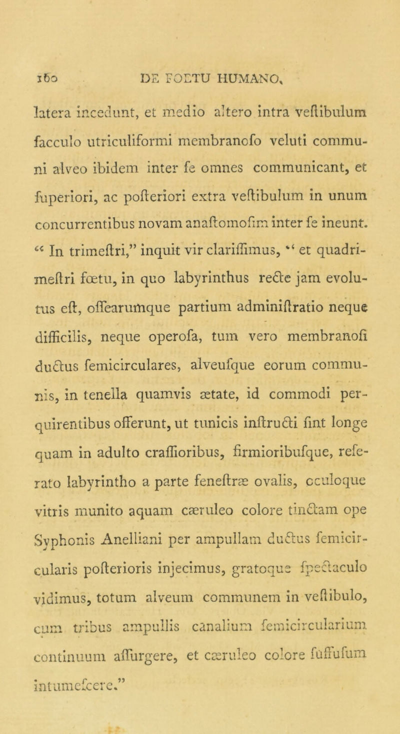latera incedunt, et medio altero intra vertibulum facculo utriculiformi membranofo veluti commu- ni alveo ibidem inter fe omnes communicant, et fuperiori, ac pofteriori extra vertibulum in unum concurrentibus novam anaftomortm inter fe ineunt. “ In trimertri,” inquit vir clariffimus, “ et quadri- mertri foetu, in quo labyrinthus re&e jam evolu- tus eft, offearumque partium adminirtratio neque difficilis, neque operofa, tum vero membranofi du&us femicirculares, alveufque eorum commu- nis, in tenella quamvis astate, id commodi per- quirentibus offerunt, ut tunicis inftrucli fint longe quam in adulto craffioribus, firmioribufque, refe- rato labyrintho a parte feneftrae ovalis, cculoque vitris munito aquam caeruleo colore tindtam ope Syphonis Anelliani per ampullam duftus femicir- cularis porterioris injecimus, gratoque fpectaculo vidimus, totum alveum communem in vertibulo, cum tribus ampullis canalium femicircularium continuum adurgere, et caeruleo colore fuffufum intumefcered’