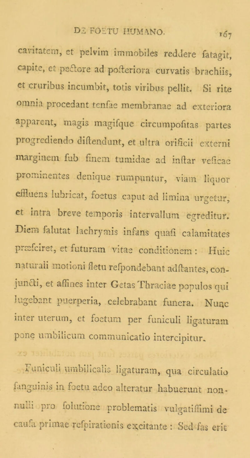 cantatc-m, et pelvim immobiles reddere fatagit, capite, et peftore ad pofleriora curvatis brachiis, ct cruribus incumbit, totis viribus pellit. Si rite omnia procedant tenfae membranae ad exteriora appareat, magis magifque circumpofitas partes progrediendo diftendunt, et ultra orificii externi marginem fub finem tumidae ad indar velicac prominentes denique rumpuntur, viam liquor effluens lubricat, foetus caput ad limina urgetur, et intra breve temporis intervallum egreditur. Diem falutat Iachrymis infans quali calamitates preefeiret, et futuram vitae conditionem : Huic naturali motioni fletu refpondebant aditantes, con- juncti, et affines inter Getas Thraciae populos qui lugebant puerperia, celebrabant funera. Nunc inter uterum, et foetum per funiculi ligaturam pmiC umoilicum communicatio intercipitur. Funiculi umbilicalis ligaturam, qua circulatio fanguinis in foetu adeo alteratur habuerunt non- num pio folutione problematis vulgatifiimi de caufa primae rcfpirationia excitante : Sed fas erit