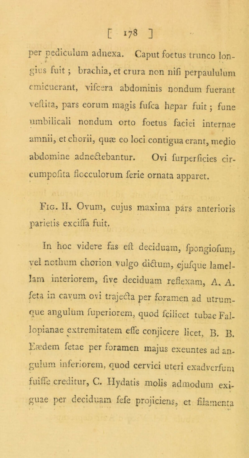 [ ^78 ] per pediculum adnexa. Caput foetus trunco lon- , i ’ ' * * v gics fuit; brachia, et crura non nifi perpaululum emicuerant, vifcera abdominis nondum fuerant veflita, pars eorum magis fufea hepar fuit; fune umbilicali nondum orto foetus faciei internae amnii, et chorii, quas eo loci contigua erant, medio abdomine adne&ebantur. Ovi furperficies cir- cumpofita flocculorum ferie ornata apparet. Fig. II. Ovum, cujus maxima pars anterioris parietis exciffa fuit. In hoc videre fas efl deciduam, fpongiofum, vel nothum chorion vulgo didlum, ejufque lamel- lam interiorem, five deciduam reflexam, A. A. ^6ua in ca\um ovi tiajedla per foramen ad utrum- que angulum fuperiorem, quod fcilicet tubae Fal- lopianae extremitatem efle conjicere licet, B, B. K aedem fetae per foramen majus exeuntes ad an- gulum inferiorem, quod cervici uteri exadverfum fui fle creditur, C. flydatis molis admodum exi- • guae per deciduam fefe projiciens, et filamenta
