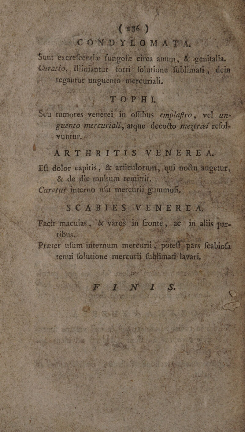 P THE M LO Wet ta DEEST 1 Prater ufüm Witernum m ; folütione mere TUNE E p TS, AN d pot vo be b PAPER (me b- Y L4 rd: hod * i cL J