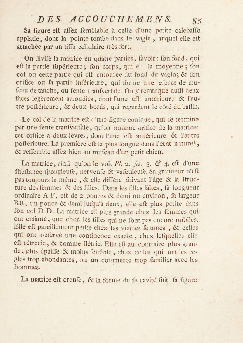 Sa figure efl: aflTez femblable à celle d’une petite calebafle applatie, dont la pointe tombe dans le vagin , auquel elle efi: attachée par un tiflTu cellulaire très-fort. f On divife la matrice en quatre parties, favoir: fon fond, qui cft la partie fupérieure; fon corps, qui e la moyenne ; fon col ou cette partie qui efl: entourée du fond du vagin; & fon orifice ou fa partie inférieure, qui forme une efpèce de mu- feau de tanche, ou fente tranfverlale. On y remarque aulïï deux faces légèrement arrondies , dont l’une efl antérieure & l’au- tre poflérieure, & deux- bords, qui regardent le côté dubaflîn. Le col de la matrice efl d’une figure conique, qui fe termine par une fente tranfverfitle, qu’on nomme orifice de la matrice: cet orifice a deux lèvres, donr l’une efl antérieure & l’autre- poflérieure. La première efl la plus longue dans l’état naturel, & relferable affez bien au mufeau d’un petit chien. La matrice, ainfi qu’on le voit P/. 2. fig. 3. & 4. efl d’une' fubflance fpongieufe, nerveufe & vafculeufe. Sa grandeur n’eft- pas toujours la môme ,& elle diffère fuivant l’âge & la flruc- ture des femmes & des filles. Dans les filles faites , fa longueur ordinaire A F, elt de 2 pouces & demi ou environ, fa largeur BB, un pouce & demi jufqu’à deux; elle efl plus petite dans fon col D D. La matrice efl plus grande chez les femmes qui ont enfanté, que chez les filles qui ne font pas encore nubiles. Elle efl pareillement petite chez les vieilles femmes , & celles qui ont obfervé une continence exaôte , chez lefquelles elle efl rétrécie, & comme flétrie. Elle efl au contraire plus gran- de, plus épaiffe & moins fenfible, chez celles qui ont les ré- glés trop abondantes, ou un commerce trop familier avec les- hommes. La matrice efl creufe, & la forme de fa cavité fuit fa figure