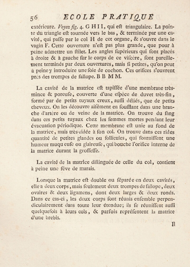 extérieure. Vo^ez fig. 4. G H11, qui eft triangulaire. La poitî» te du triangle eft tournée vers le bas, & terminée par une ca- vité , qui pafle par le col H de cet organe, & s’ouvre dans le vagin F. Cette ouverture n’efl: pas plus grande, que pour à peine admettre un ftilet. Les angles fupérieurs qui font placés à droite & à gauche fur le corps de ce vifcère, font pareille- ment terminés par deux ouvertures, mais fi petites, qu’on peut à peine y introduire une foie de cochon. Ces orifices s’ouvrent prés des trompes de fallope. B B M M. La cavité de la matrice efl: tapiffée d’une membrane très- mince & poreufe, couverte d’une efpèce de duvet très-fin, formé par de petits tuyaux creux, auflî déliés, que de petits cheveux. On les découvre aifément en foufiiant dans une bran- che d’artère ou de veine de la matrice. On trouve du fang dans ces petits tuyaux chez les femmes mortes pendant leur évacuation périodique. Cette membrane efl: unie au fond de la matrice, mais très-ridée à fon col. On trouve dans ces rides quantité de petites glandes ou follicules, qui fourniflent, une humeur muqueufe ou glaireufe, qui bouche l’orifice interne de la matrice durant la groirefle., La cavité de la matrice diftinguée de celle du col, contient à peine une fève de marais. v Lorsque la matrice efl: double ou féparée en deux cavités, elle a deux corps, mais feulement deux trompes de fallope, deux ovaires & deux ligamens, dont deux larges & deux ronds. Dans ce cas-ci, les deux corps font réunis enfemble perpen- diculairement dans toute leur étendue; ils fe réunifient auflî quelquefois h leurs cols, ôc parfois repréfentent la matrice d’une brebis. Il