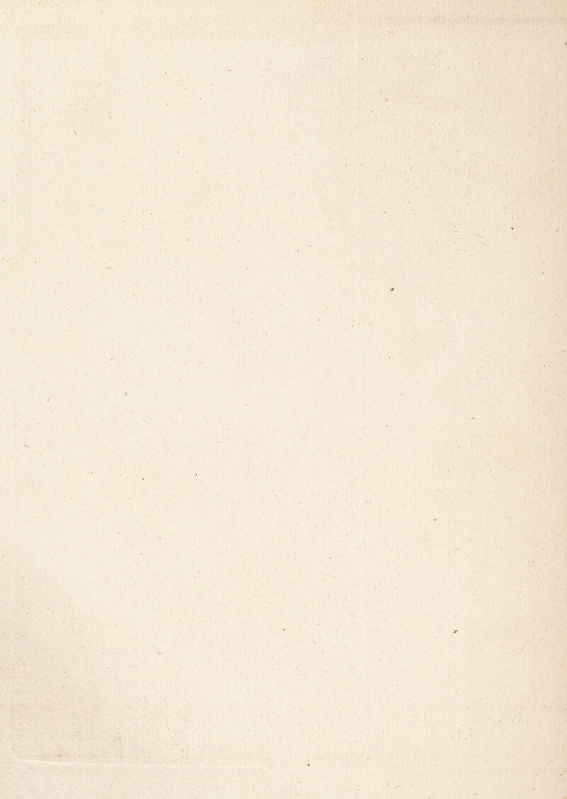 I ■ *■ < ; I \ y y I I / % s J I I. }■ ' « >r N V \ } / 9 r \ > ^ \ jr^ ‘‘i?'-: ' - » \v — ■ •. i».- -.O .*• ., ) { éjL /