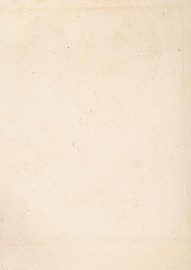 \' \- V, ■■J •• V . \ ■V -7 V I L /■' ^ • V X •/ . / \ % ^<i» ■ V ) V