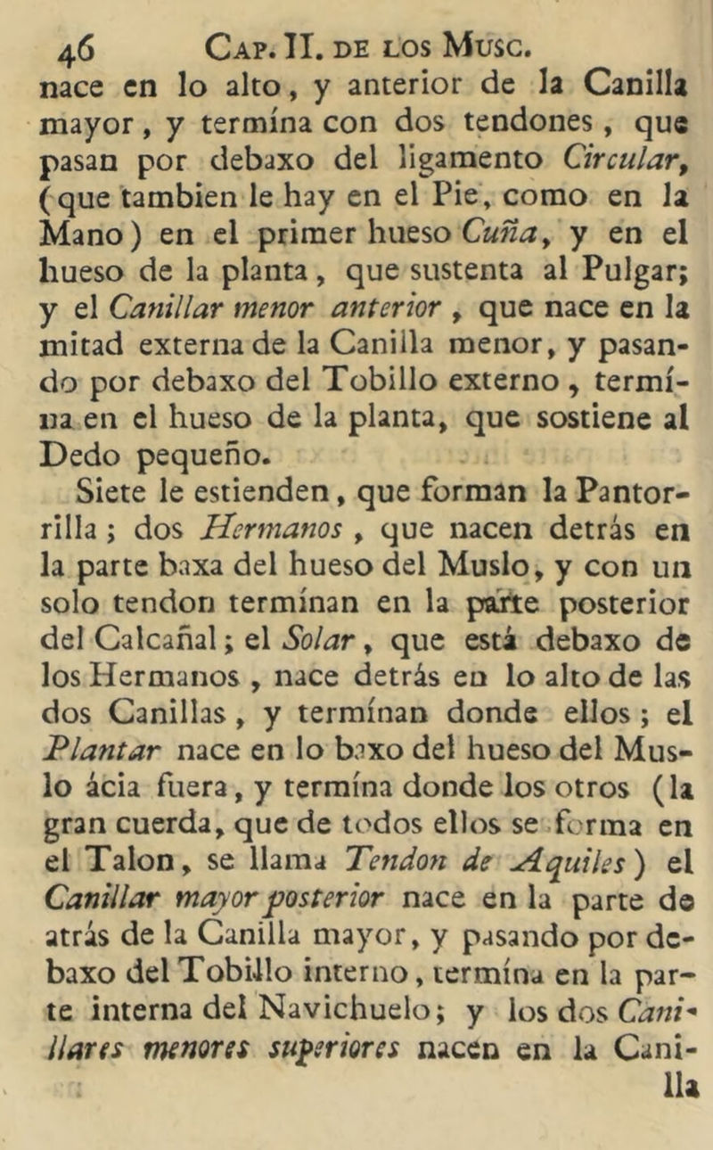 nace en lo alto, y anterior de la Canilla mayor, y termina con dos tendones, que pasan por debaxo del ligamento Circular, (que también le hay en el Pie» como en la Mano) en el primer hueso Cuñay y en el hueso de la planta, que sustenta al Pulgar; y el Canillar menor anterior , que nace en la mitad externa de la Caniila menor, y pasan- do por debaxo del Tobillo externo y termi- na en el hueso de la planta, que sostiene al Dedo pequeño. Siete le estienden, que forman la Pantor- rilla ; dos Hermanos , que nacen detrás en la parte baxa del hueso del Muslo, y con un solo tendón terminan en la parte posterior del Calcañal; el Solar, que está debaxo de los Hermanos , nace detrás en lo alto de las dos Canillas, y terminan donde ellos ; el Plantar nace en lo baxo del hueso del Mus- lo ácia fuera, y termina donde los otros (la gran cuerda, que de todos ellos se forma en el Talón, se llama Tendón de H quites ) el Canillar mayor posterior nace en la parte de atrás de la Canilla mayor, y pasando por de- baxo del Tobillo interno, termina en la par- te interna del Navichuelo; y los dos Cani- llares menores superiores nacen en la Cani-