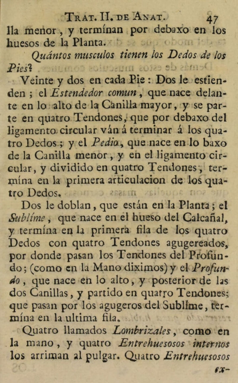 lia menor, y terminan por debaxo en los huesos de la Planta. Quántos músculos tienen los Dedos de los Piesh Veinte y dos en cada Pie : Dos le estien- den ; el Estendedor común, que nace delan- te en lo alto de la Canilla mayor, y se par- te en quatro Tendones, que por debaxo del ligamento circular van á terminar á los qua- tro Dedos; y el Pedia., que nace en lo baxo de la Canilla menor, y en el ligamento cir- cular, y dividido en quatro Tendones, ter- mina en la primera articulación de los qua- tro Dedos. Dos le doblan, que están en la Planta; el Sublime, que nace en el hueso del Calcañal, y termina en la primera fila de los quatro Dedos con quatro Tendones agugereados, por donde pasan los Tendones del Profun- do ; (como en la Mano diximos) y el Profun- do , que nace en lo alto, y posterior de las dos Canillas, y partido en quatro Tendones; que pasan por los agugeros del Sublime, ter- mina en la ultima fila. Quatro llamados Lombrizales, como en la mano , y quatro Entrehuesosos internos los arriman al pulgar. Quatro Entrehuesosos