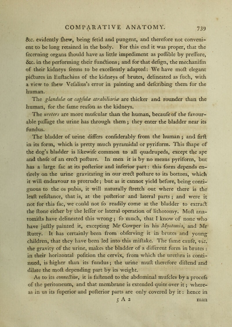 8tc. evidently {hew, being fetid and pungent, and therefore not conveni- ent to be long retained in the body. For this end it was proper, that the fecerning organs fhould have as little impediment as poffible by preffure, &c. in the performing their fun&ions; and for that defign, the mechanifm of their kidneys feems to be excellently adapted: We have moft elegant pictures in Euflachius of the kidneys of brutes, delineated as fuch, with a view to fhew Vefalius’s error in painting and defcribing them for the human. The glandules or capfula atrabiliarise are thicker and rounder than the human, for the fame reafon as the kidneys. The ureters are more mufcular than the human, becaufe of the favour- able paffage the urine has through them; they enter the bladder near its fundus. The bladder of urine differs confiderably from the human ; and firft in its form, which is pretty much pyramidal or pyriform. This fhape of the dog’s bladder is likewife common to all quadrupeds, except the ape and thofe of an eredl pofture. In men it is by no means pyriform, but has a large fac at its poflerior and inferior part: this form depends en- tirely on the urine gravitating in our eredt pofture to its bottom, which it will endeavour to protrude; but as it cannot yield before, being conti- guous to the os pubis, it will naturally ftretch out where there is the leaft refiftance, that is, at the poflerior and lateral parts ; and were it not for this fac, we could not fo readily come at the bladder to extract the ftone either by the leffer or lateral operation of lithotomy. Moft ana- tomifls have delineated this wrong; fo much, that I know of none who have juflly painted it, excepting Mr Cowper in his Myotomia, and Mr Rutty. It has certainly been from obferving it in brutes and young children, that they have been led into this miflake. The fame caufe, viz. the gravity of the urine, makes the bladder of a different form in brutes : in their horizontal pofition the cervix, from which the urethra is conti- nued, is higher than its fundus; the urine muft therefore diftend and dilate the moft depending part by its weight. As to its connexion, it is faftened to the abdominal mufcles by a procefs of the peritoneum, and that membrane is extended quite over it; where- as in us its fuperior and poflerior parts are only covered by it: hence in 5 A 2 man