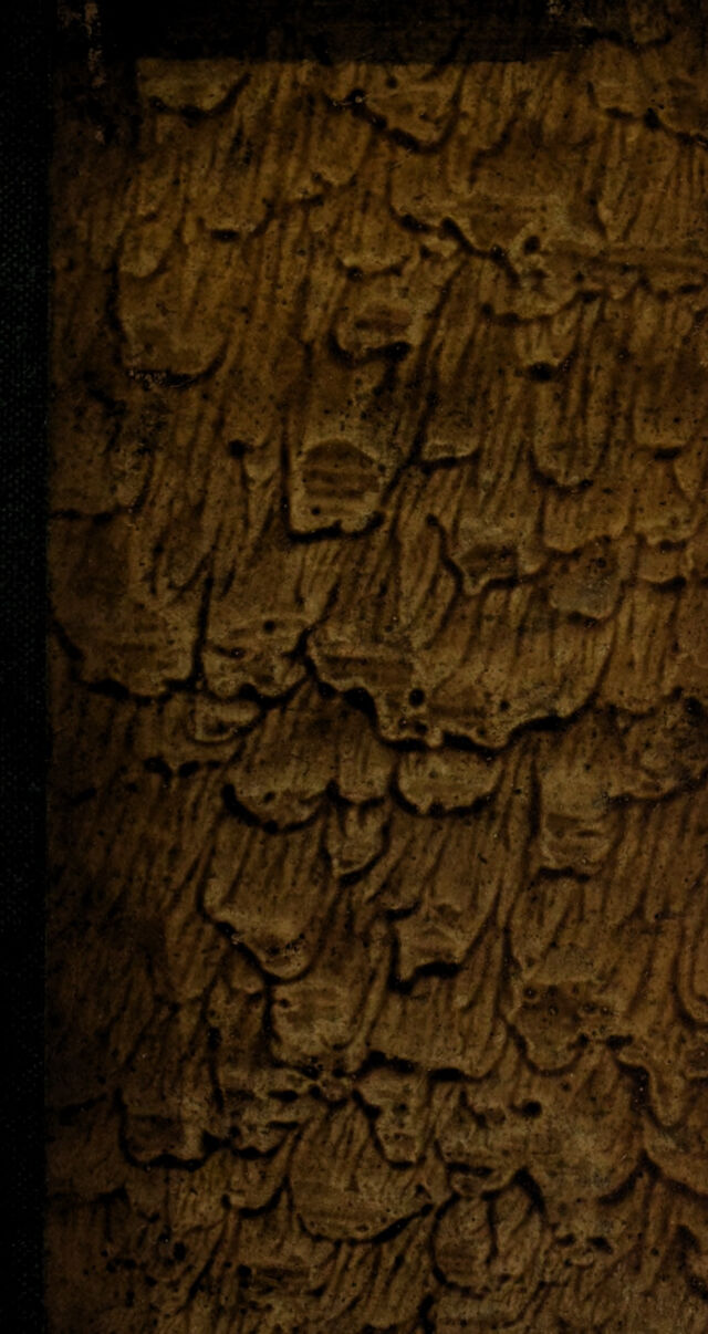 digitised image 1