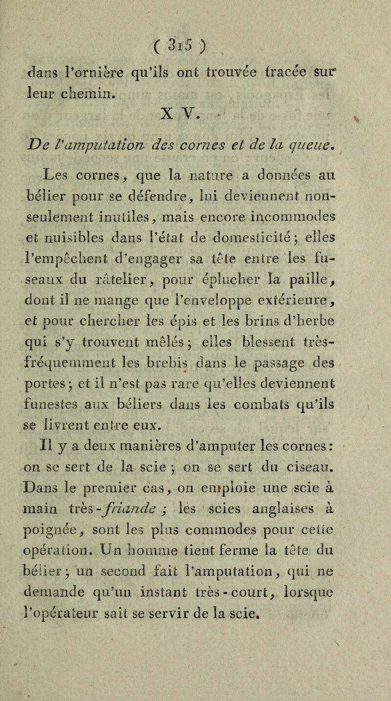 / ( 3i5 ) dans l’ornière qu’ils ont trouvée tracée sur leur chemin. X V. De ramputation des cornes et de la queue. Les cornes ; que la nature a données au bélier pour se défendre, lui deviennent non- seulement inutiles, mais encore incommodes et nuisibles dans l’état de domesticité ; elles l’empêchent d’engager sa tête entre les fu- seaux du râtelier, pour éplucher la paille, dont il ne mange que l’enveloppe extérieure, et pour chercher les épis et les brins d’herbe qui s’y trouvent mêlés ; elles blessent très- fréquemment les brebis dans le passage des portes; et il n’est pas rare qu’elles deviennent funestes aux béliers dans les combats qu’ils se livrent entre eux. Il y a deux manières d’amputer les cornes: on se sert de la scie ; on se sert du ciseau. Dans le premier cas, on emploie une scie à main très -friande ; les scies anglaises à poignée, sont les plus commodes pour cette opération. Un homme tient ferme la tête du bélier; un second fait l’amputation, qui ne demande qu’un instant très-court, lorsque l’opérateur sait se servir de la scie.
