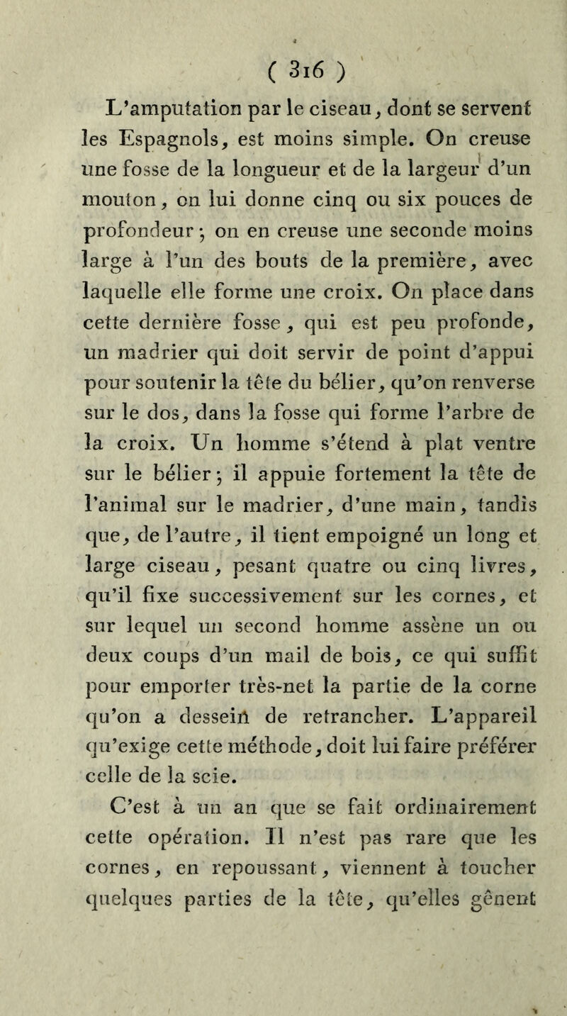 L’amputation par le ciseau, dont se servent les Espagnols, est moins simple. On creuse une fosse de la longueur et de la largeur d’un mouton, on lui donne cinq ou six pouces de profondeur on en creuse une seconde moins large à l’un des bouts de la première, avec laquelle elle forme une croix. On place dans cette dernière fosse, qui est peu profonde, un madrier qui doit servir de point d’appui pour soutenir la tête du bélier, qu’on renverse sur le dos, dans la fosse qui forme l’arbre de la croix. Un homme s’étend à plat ventre sur le bélier j il appuie fortement la tête de l’animal sur le madrier, d’une main, tandis que, de l’autre, il tient empoigné un long et large ciseau, pesant quatre ou cinq livres, qu’il fixe successivement sur les cornes, et sur lequel un second homme assène un ou deux coups d’un mail de bois, ce qui suffit pour emporter très-net la partie de la corne qu’on a dessein de retrancher. L’appareil qu’exige cette méthode, doit lui faire préférer celle de la scie. C’est à un an que se fait ordinairement cette opération. 11 n’est pas rare que les cornes, en repoussant, viennent à toucher quelques parties de la tête, qu’elles gênent