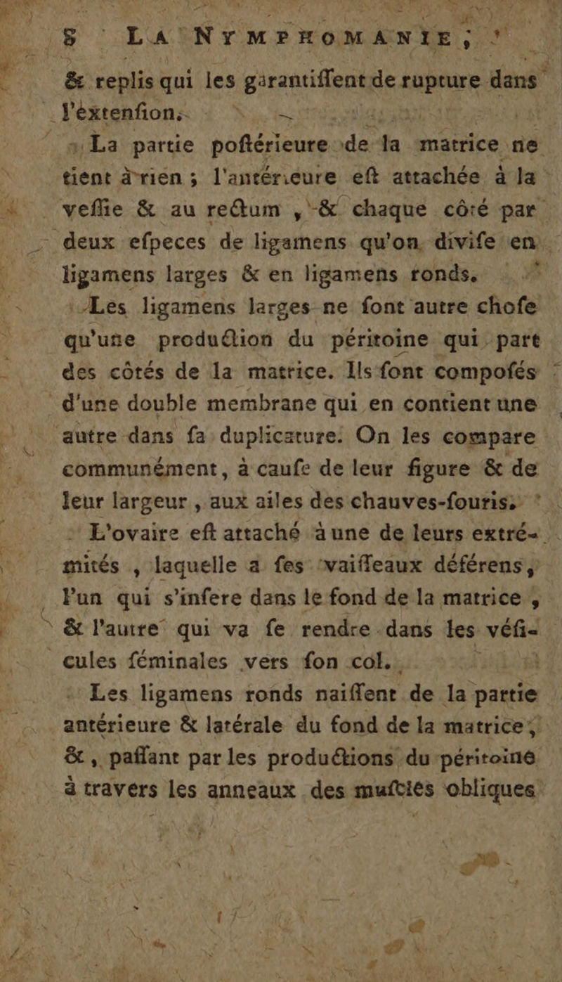 CRE: &amp; replis qui les girantiflent de rupture dans” : La partie poftérieure de 4 matrice ne tient drien ; l'antérieure eft attachée à la + ligamens larges &amp; en ligamens ronds. Les ligamens larges ne font autre chofe qu'use produdion du péritoine qui. part des côtés de la matrice. Ils font compoñés # communément, à caufe de leur figure &amp; de Jeur largeur , aux ailes des chauves-fouris: ? - L'ovaire eft attaché äune de leurs extré- mités , laquelle à fes ‘vaifleaux déférens, Pun qui s’infere dans le fond de la matrice , &amp; l'autre qui va fe rendre dans les véf- Les ligamens ronds naiffent de la partie &amp; , paflant par les produétions du-péritoiné à travers les anneaux des muftiés obliques