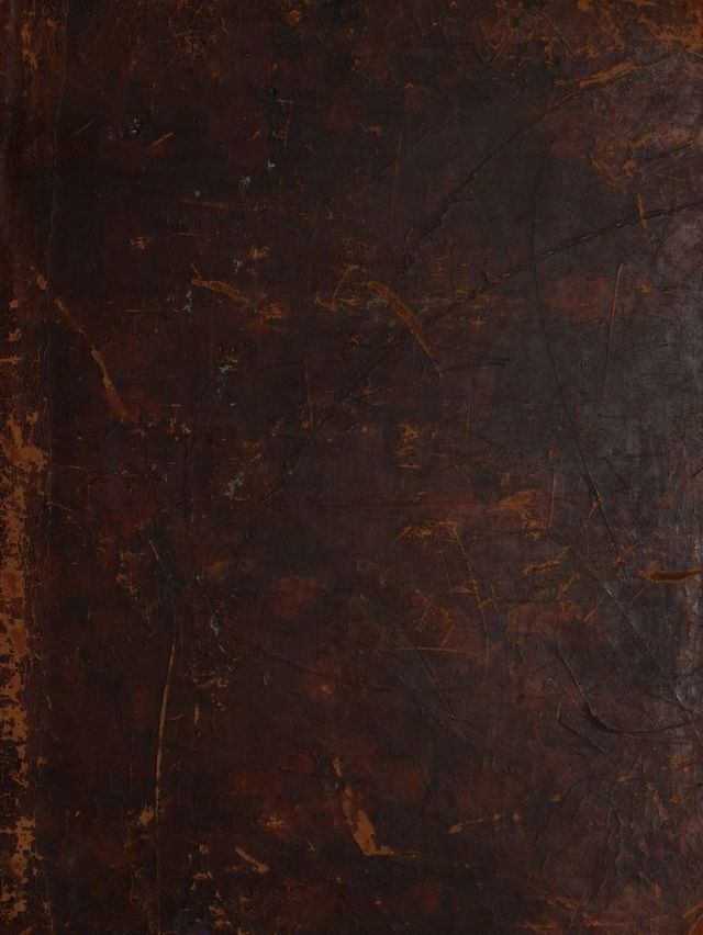 No text description is available for this image