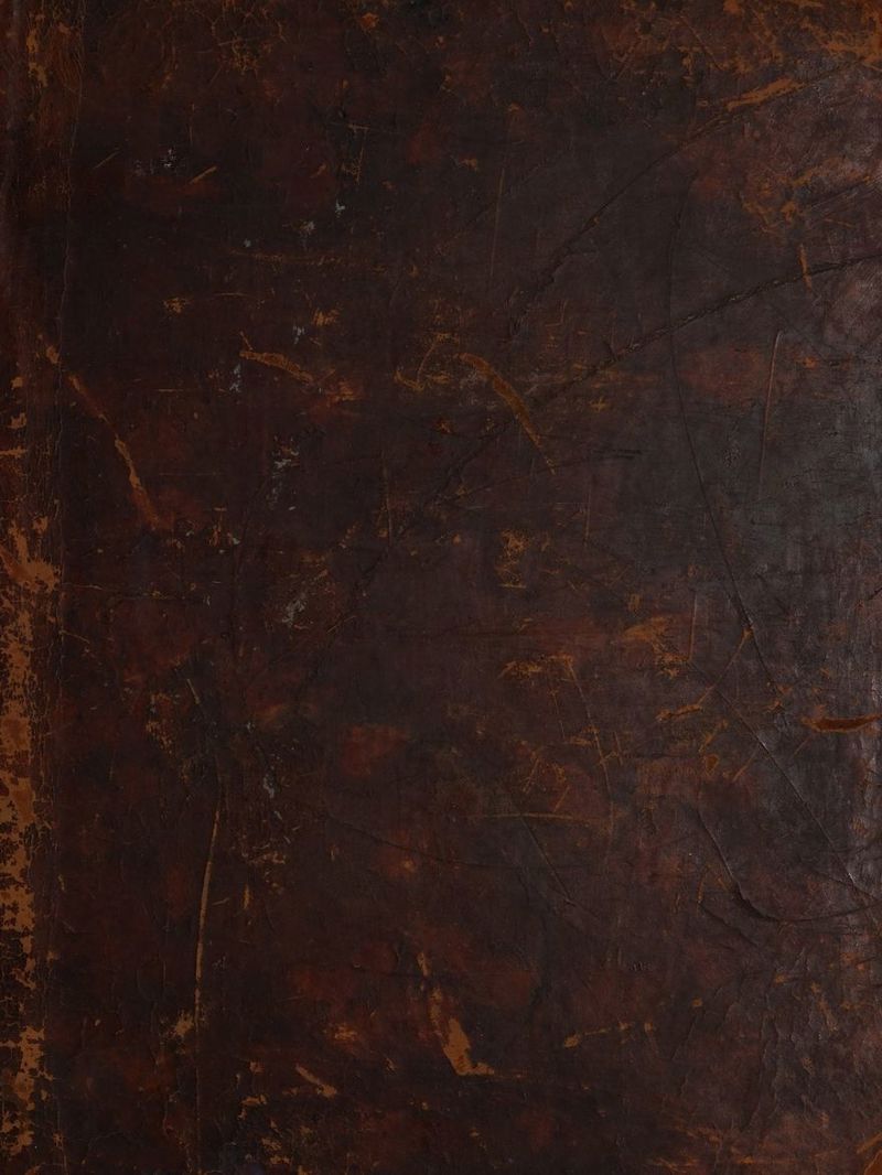 No text description is available for this image