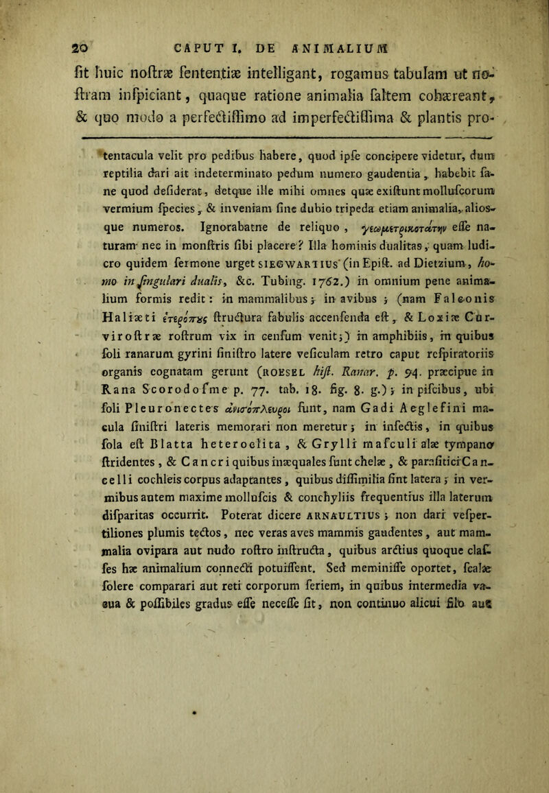 fit huic noftrae fententias intelligant, rogamus tabulam ut ne*- Uram infpiciant, quaque ratione animalia fattem cohaereant, & quo modo a perfe&iffimo ad imperfectiflima & plantis pro- tentacula velit pro pedibus habere, quod ipfe concipere videtur, dum reptilia dari ait indeterminato pedum numero gaudentia , habebit fa- ne quod defiderat, det que ille mihi omnes quse exiftunt mollufcorum; vermium fpeciesy & inveniam fine dubio tripeda etiam animalia, alios- que numeros. Ignorabatne de reliquo , yMfUT^KOTurviv efle na- turam- nec in monftris fibi placere ? Illa hominis dualitas, quam ludi- cro quidem fermone urget siegwari ius'(in Epift. adDietzium, ho- mo in jugulari dualis, &c. Tubing. 1762.) in omnium pene anima- lium formis redit: in mammalibus5 in avibus * (nam Falc-onis Hal iseti ftrudura fabulis accenfenda eft, & Loxiae Cur- vi roftrae roftrum vix in cenfum venit i) in amphibiis, m quibus foli ranarum gyrini finiftro latere veficulam retro caput rcfpiratoriis organis cognatam gerunt (roeskl hijl. Ranar. p. 94. praecipue in Rana Scorodofme p. 77. tab. 18. fig. 8- gO > inpifcibus, ubi foli Pleuronectes dvi<ro7rAiv(ioi fimt, nam Gadi Aeglefini ma- cula finiftri lateris memorari non meretur} in infedis, in quibus fola eft Blatta heteroclita, & Grylli mafculi alae tympana ftridentes , & Cancri quibus inaequales funt chelae , & parafitici C a fi- ce 11 i cochleis corpus adaptantes , quibus diflimilia fint latera r in ver- mibus autem maxime mollnfcis & conchyliis frequentius illa laterum difparitas occurrit. Poterat dicere arnaultius 5 non dari vefper- tiliones plumis tedos, nec veras aves mammis gaudentes , aut mam- malia ovipara aut nudo roftro inftruda, quibus ardius quoque claC. fes hae animalium connedi potuiflent. Sed meminifle oportet, fcalae folerc comparari aut reti corporum feriem, iu quibus intermedia va- 0ua & poflibiles gradus efle neceffe fit, non continuo alicui filo auS