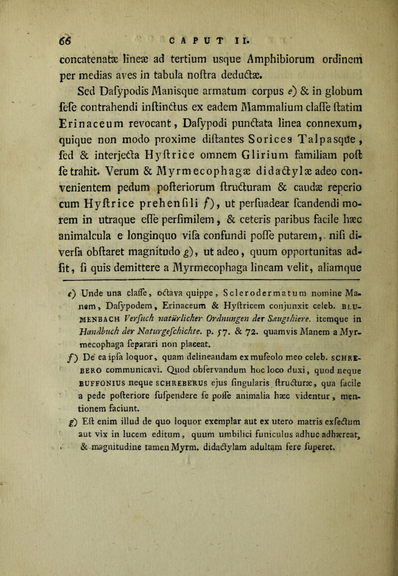 concatenate lineae ad tertium usque Amphibiorum ordinem per medias aves in tabula noftra dedu&x. Sed Dafypodis Manisque armatum corpus e) & in globum fele contrahendi inftindus ex eadem Mammalium clafle ftatim Erinaceum revocant, Dafypodi punftata linea connexum, quique non modo proxime diftantes Sorices Talpasque, fed & interjeda Hyftrice omnem Glirium familiam poft fetrahit. Verum & Myrmecophagae dida&ylx adeo con- venientem pedum pofteriorum ftru<fturam & caudas reperio cum Hyftrice prehenfili /'), ut perfnadear fcandendi mo- rem in utraque e fle perfimilem , & ceteris paribus facile hxc animalcula e longinquo vifa confundi pofle putarem,, nifi di- verfa obftaret magnitudo g), ut adeo, quum opportunitas ad- fit, fi quis demittere a Myrmecophaga lineam velit, aliamque e') Unde una clafle» o<ftava quippe , Sclerodermatum nomine Ma- nem, Dafypodem, Erinaceum & Hyftricem conjunxit celeb. blu- MENBACH Verfuch natiirlicher Ordnungen der Saugthiere. itemque in Hanrlbiich der Naturgefchichte. p. jj. & 72. quamvis Manem a Myr- mecophaga feparari non placeat. /) De eaipfa loquor» quam delineandam exmufeolo meo celeb. schre- BERO communicavi. Quod obfervandum hoc loco duxi, quod neque BUFFONIUS neque schreberus ejus fingularis ftrudurse, qua facile a pede pofteriore fufpendere fe pofle animalia haec videntur, men- tionem faciunt. g) Eft enim illud de quo loquor exemplar aut ex utero matris exfe&um aut vix in lucem editum, quum umbilici funiculus adhuc adhjereat» & magnitudine tamen Myrm. dida&ylam adultam fere fuperet.