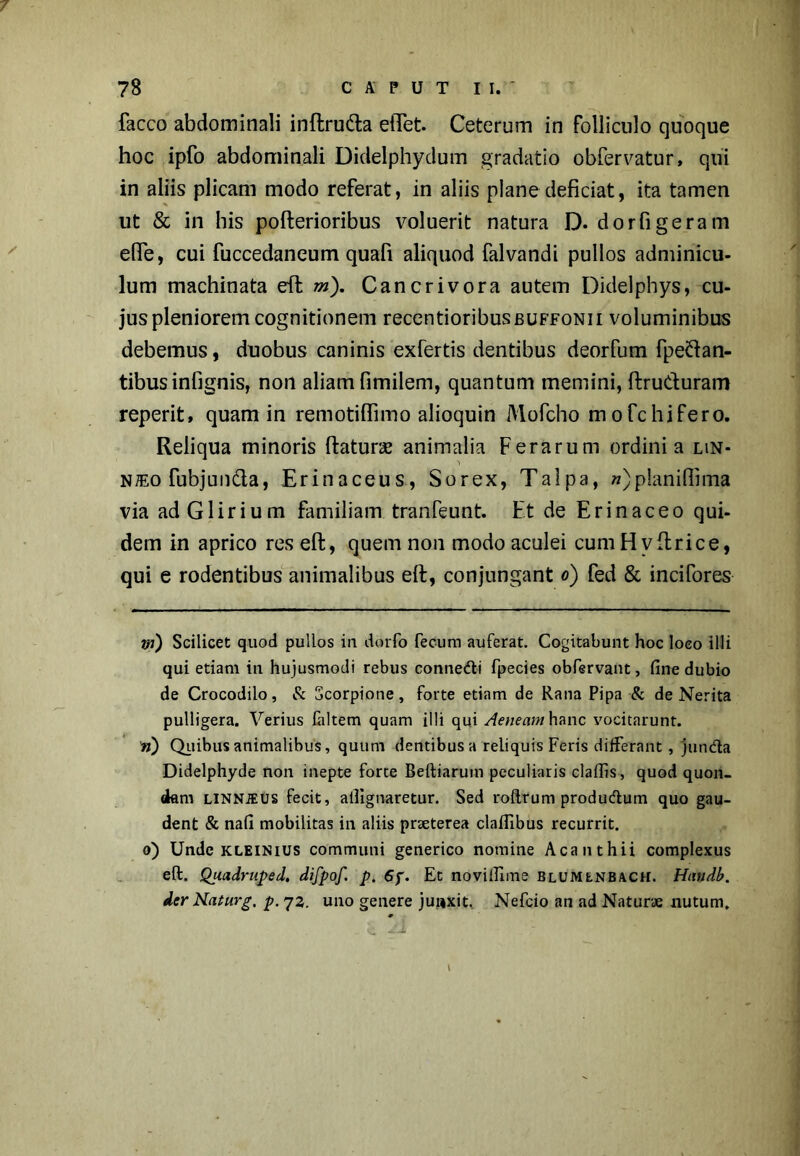 facco abdominali inftru&a etTet. Ceterum in folliculo quoque hoc ipfo abdominali Didelphydum gradatio obfervatur, qui in aliis plicam modo referat, in aliis plane deficiat, ita tamen ut & in his pofterioribus voluerit natura D- dorfigeram efie, cui fuccedaneum quafi aliquod falvandi pullos adminicu- lum machinata eft m). Cancrivora autem Didelphys, cu- jus pleniorem cognitionem recentioribusBUFFONii voluminibus debemus, duobus caninis exfertis dentibus deorfum fpe&an- tibusinfignis, non aliam fimilem, quantum memini, ftru&uram reperit, quam in remotifiimo alioquin Mofcho mofchifero. Reliqua minoris flatura; animalia Ferarum ordini a lin- nteo fubjundla, Erinaceus, Sorex, Talpa, «)p!aniffima via adGlirium familiam tranfeunt. Et de Erinaceo qui- dem in aprico res eft, quem non modo aculei cumHvflrice, qui e rodentibus animalibus eft, conjungant o) fed & incifores m) Scilicet quod pullos in dorfo fecum auferat. Cogitabunt hoc loco illi qui etiam in hujusmodi rebus connedi fpecies obfervant, fine dubio de Crocodilo, & Scorpione, forte etiam de Rana Pipa & de Nerita pulligera. Verius laltem quam illi qui Aeneam hanc vocitarunt. n) Quibus animalibus, quum dentibus a reliquis Feris differant , junda Didelphyde non inepte forte Beftiarum peculiaris cladis, quod quon- iam linnjeus fecit, afiignaretur. Sed roftrum produdum quo gau- dent & nafi mobilitas in aliis praeterea cladibus recurrit. o) Unde kleinius communi generico nomine Acanthii complexus eft. Quadruped. difpof. p. 6y. Et novidlme blumlnbach. Handb. der Naturg, p. 72. uno genere junxit. Nefcio an ad Naturae nutum.