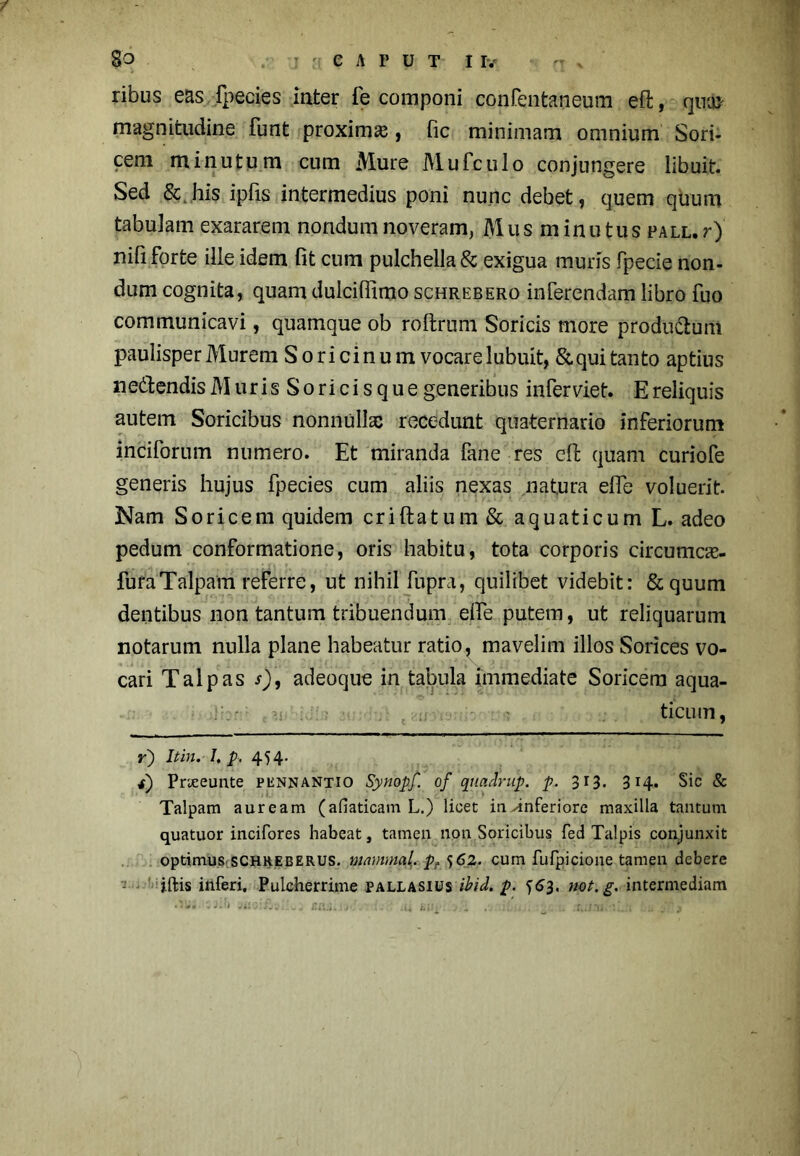 ribus eas fpecies inter fe componi confentaneum eft, qua> magnitudine funt proxima , fic minimam omnium Sori- cem minutum cum Mure Mufculo conjungere libuit. Sed & his ipfis intermedius poni nunc debet, quem quum tabulam exararem nondum noveram, Alus minutus PALL.r) nili forte ille idem fit cum pulchella & exigua muris fpecie non- dum cognita, quam dulciffimo schrebero inferendam libro fuo communicavi, quamque ob roftrum Soricis more produ&urti paulisper Murem Soricinum vocare lubuit, & qui tanto aptius nedtendis Muris Soricis que generibus infer viet. E reliquis autem Soricibus nonnulla) recedunt quaternario inferiorum inciforum numero. Et miranda fane res efl: quam curiofe generis hujus fpecies cum aliis nexas nat.ura efie voluerit. Nam Soricem quidem criftatum & aquaticum L. adeo pedum conformatione, oris habitu, tota corporis circumae- furaTalpam referre, ut nihil fupra, quilibet videbit: &quum dentibus non tantum tribuendum eife putem, ut reliquarum notarum nulla plane habeatur ratio, mavelim illos Sorices vo- cari Talpas s), adeoque in tabula immediate Soricem aqua- ' >< • . t ;i : ticiim, r) Itin. I. p. 454. i) Prteeunte pennantio Synopf. of quadrup. p. 313. 314. Sic & Talpam auream (afiaticam L.) licet in inferiore maxilla tantum quatuor incifores habeat, tamen non Soricibus fed Talpis conjunxit optimus SCHREBERUS. mnmmcil. pf 562. cum fufpicione tamen debere jftis inferi. Pulcherrime pallasius ibid. p. 3. not.g. intermediam