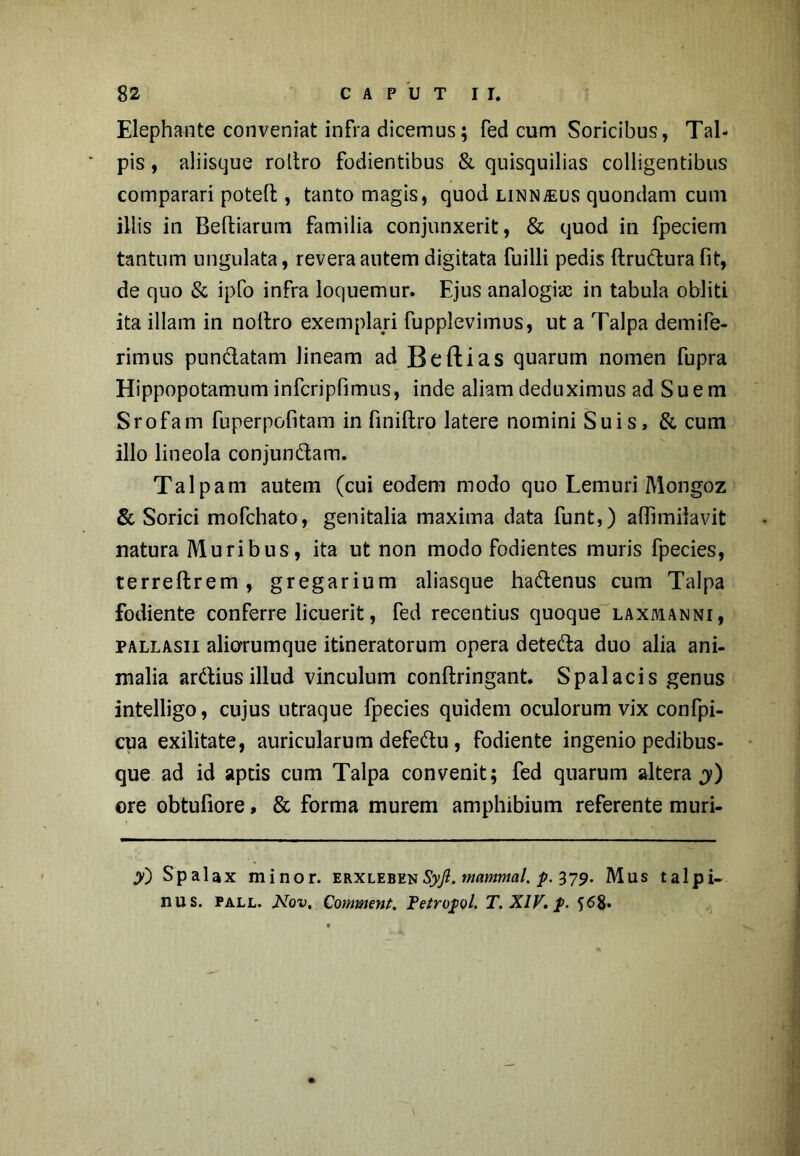 Elephante conveniat infra dicemus; fed cum Soricibus, Tal- pis , aliisque roltro fodientibus & quisquilias colligentibus comparari poteft , tanto magis, quod linnaeus quondam cum iliis in Beftiarum familia conjunxerit, & quod in fpeciem tantum ungulata, revera autem digitata fuilli pedis ftruCtura fit, de quo & ipfo infra loquemur. Ejus analogix in tabula obliti ita illam in nollro exemplari fupplevimus, ut a Talpa demife- rimus punclatam lineam ad Beftias quarum nomen fupra Hippopotamum infcripfimus, inde aliam deduximus ad Suem Srofam fuperpofitam in finiftro latere nomini Suis, & cum illo lineola conjundam. Talpam autem (cui eodem modo quo Lemuri Mongoz & Sorici mofchato, genitalia maxima data funt,) affimilavit natura Muribus, ita ut non modo fodientes muris fpecies, terreffcrem, gregarium aliasque hadenus cum Talpa fodiente conferre licuerit, fed recentius quoque laxmanni, pallasii aliorumque itineratorum opera deteda duo alia ani- malia ardius illud vinculum conftringant. Spalacis genus intelligo, cujus utraque fpecies quidem oculorum vix confpi- cua exilitate, auricularum defedu, fodiente ingenio pedibus- que ad id aptis cum Talpa convenit; fed quarum altera j) ore obtufiore, & forma murem amphibium referente muri- J>Q Spalax minor, erxlebenSyjl. mnmmal. p. 379. Mus talpi- nus. pall. Nov. Comment. Petrofol. T. XIV. $68»