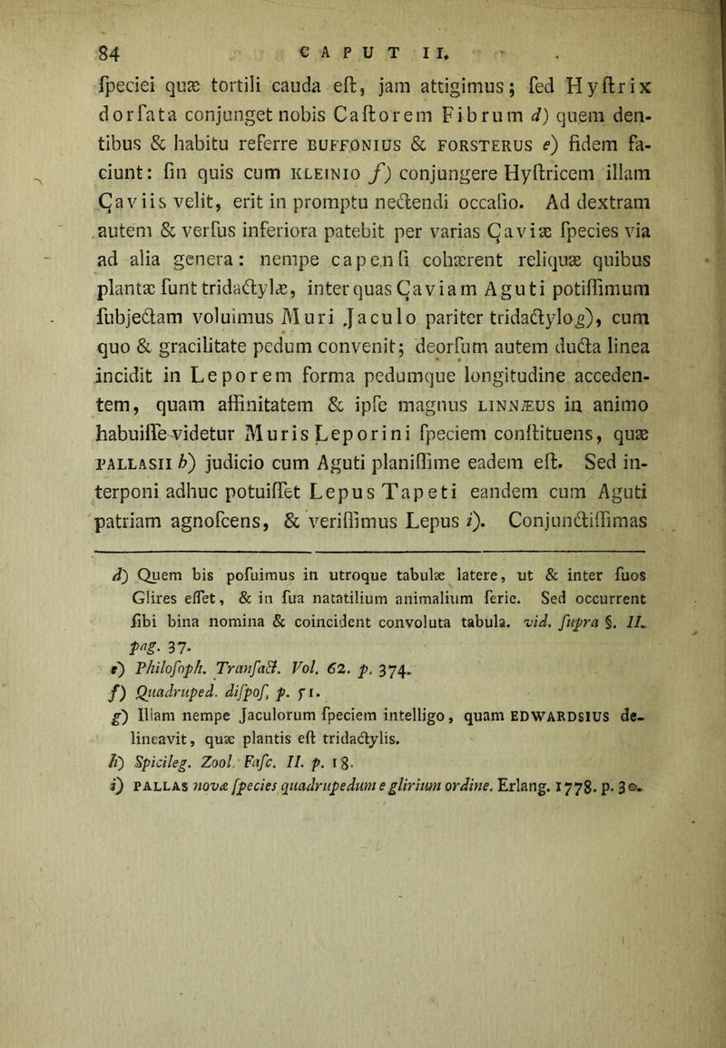 fpeciei quae tortili cauda eft, jam attigimus; fed Hyftrix dor fata conjunget nobis Caftorem Fibrum d) quem den- tibus & habitu referre buffonius & forsterus e) fidem fa- ciunt: fin quis cum kleinio f) conjungere Hyftricem illam Qaviis velit, erit in promptu n edendi occalio. Ad dextram autem & verfus inferiora patebit per varias CJaviac fpecies via ad alia genera: nempe cape.nfi cohaerent reliquae quibus plantae funt tridadylae, inter quas (gaviam Aguti potiflimum fubjedam voluimus Muri Jaculo pariter tridadylog), cum quo & gracilitate pedum convenit; deorfum autem duda linea incidit in Leporem forma pedumque longitudine acceden- tem, quam affinitatem & ipfe magnus linnteus in animo habuiffedidetur Muris Lep ori ni fpeciem conffituens, quae pallasii h) judicio cum Aguti planifiime eadem eft. Sed in- terponi adhuc potuiffet Lepus Tapeti eandem cum Aguti patriam agnofcens, & veriflimus Lepus i). Conjun&iffimas di) Quem bis pofuimus in utroque tabulse latere, ut & inter fuos Glires eflet, & in fua natatilium animalium ferie. Sed occurrent fibi bina nomina & coincident convoluta tabula, vid. fupra §. 1L png. 37. e) Philofoph. Tr an fati. Vol. 62. p. 374. f) Quadruped. difpof p. f 1. g) Iliam nempe Jaculorum fpeciem intelligo, quam EDWARDSIUS de- lineavit, quae plantis eft trida&ylis. /1) Spicileg. Zool. Fafc. II. p. ig. i) pallas nova fpecies quadrupedum egliritm ordine. Erlang. 1778. p. 30. 1