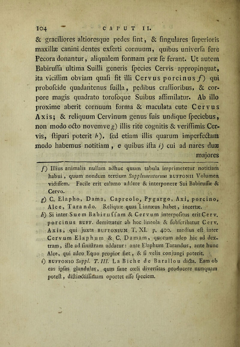 & graciliores altioresque pedes fint, & fingulares fuperioris maxilla canini dentes exferti cornuum, quibus univerfa fere Pecora donantur, aliqualem formam prae fe ferant. Ut autem Babiruffa ultima Suilli generis fpecies Cervis appropinquat, ita viciffim obviam quali fit illi Cervus porcinus/) qui probofeide quadantenus fuilla, pedibus cralfioribus, & cor- pore magis quadrato torofoque Suibus afiimilatur. Ab illo proxime aberit cornuum forma & maculata cute Cervus Axis; & reliquum Cervinum genusTuis undique fpeciebus, non modo odo novem ve g) illis rite cognitis & verilfimis Cer- vis, ftipari poterit h), fed etiam illis quarum imperfectam modo habemus notitiam , e quibus illa i) cui ad nares duae majores /) Illius animalis nullam adhuc quum tabula imprimeretur notitiam habui, quum nondum tertium Supplementorum buffonii Volumen vidiflem. Facile erit calamo addere & interponere Sui Babirulfae & Cervo. g) C. Elapho, Dama, Capreolo, Pygargo, Axi, porcino, Alce, Tarando. Reliquae quas Linnseus habet, incertae. H) Si inter Suem Babiruffam & Cervum interpofitus erit Ce rv. porcinus buff. demittatur ab hoc lineola & fubfcribatur Ccrv. Axis, qui juxta buffonium T. XI. p. 400. medius eft inter Cervum Elaphum & C. Damam, quorum adeo hic ad dex- tram, ille ad finiftram addatur: ante Elaphum Tarandus, ante hunc Alce, qui adeo Equo propior fiet, & fi velis conjungi poterit. 0 buffonio Suppi. T. 111. LaBiche de Baraliou di&a. Eam ob eas ipfas glandulas, quas faue coeli diverfitas producere nunquam poteft, diftimftifiimam oportet eife fpeciem.