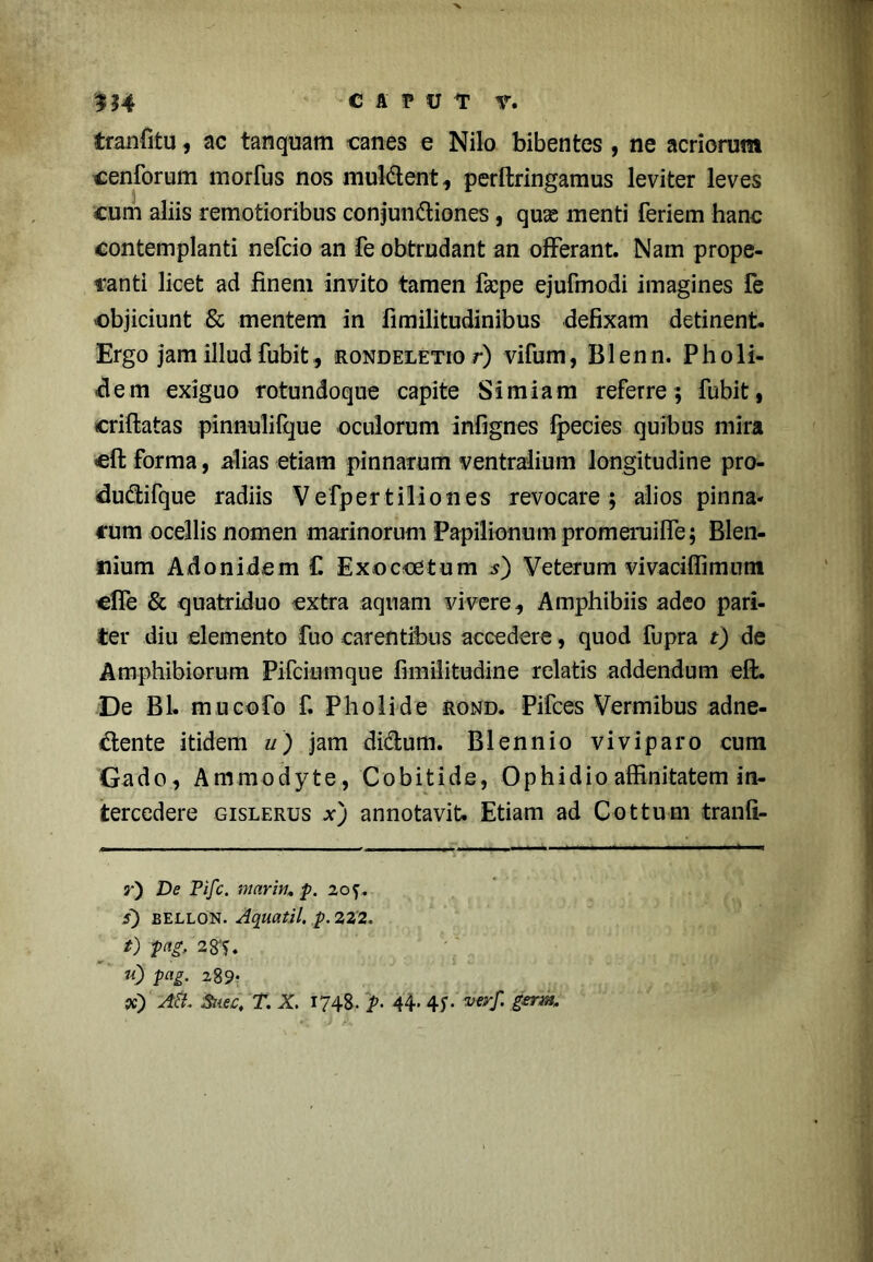 tranfitu, ac tanquam canes e Nilo bibentes , ne acriorum cenforum morius nos muldent, perltringamus leviter leves cum aliis remotioribus conjun&iones , quas menti feriem hanc contemplanti nefcio an fe obtrudant an offerant. Nam prope- ranti licet ad finem invito tamen faspe ejufmodi imagines fe objiciunt & mentem in fimilitudinibus defixam detinent. Ergo jam illud fubit, rondeletio r) vifum, Blenn. Pholi- de m exiguo rotundoque capite Simiam referre; fubit, crillatas pinnulifque oculorum infignes fpecies quibus mira <eft forma, alias etiam pinnarum ventralium longitudine pro- du&ifque radiis Vefpert ilio nes revocare; alios pinna* cum ocellis nomen marinorum Papilionum promeruilfe; Bien- nium Adonidem f. Exoccetum s) Veterum vivaciffimum clfe & quatriduo extra aquam vivere. Amphibiis adeo pari- ter diu elemento fuo carentibus accedere, quod fupra t) de Amphibiorum Pifciumque fimilitudine relatis addendum eft. De Bl. mu cofo f. Pholi de rond. Pifces Vermibus adne- ftente itidem u) jam didum. Biennio viviparo cum Gado, Ammodyte, Cobitide, Oph id io affinitatem in- tercedere gislerus xj annotavit. Etiam ad Cottum tranli- j) De Pifc. mariti, p. 20f. s) bellon. Aquat.il, p. 222. t) pag, 2 g'f. u) pag. 289- pc) Ai?. Suec, T. X. 1748. p• 44- 4r **rf. germ.