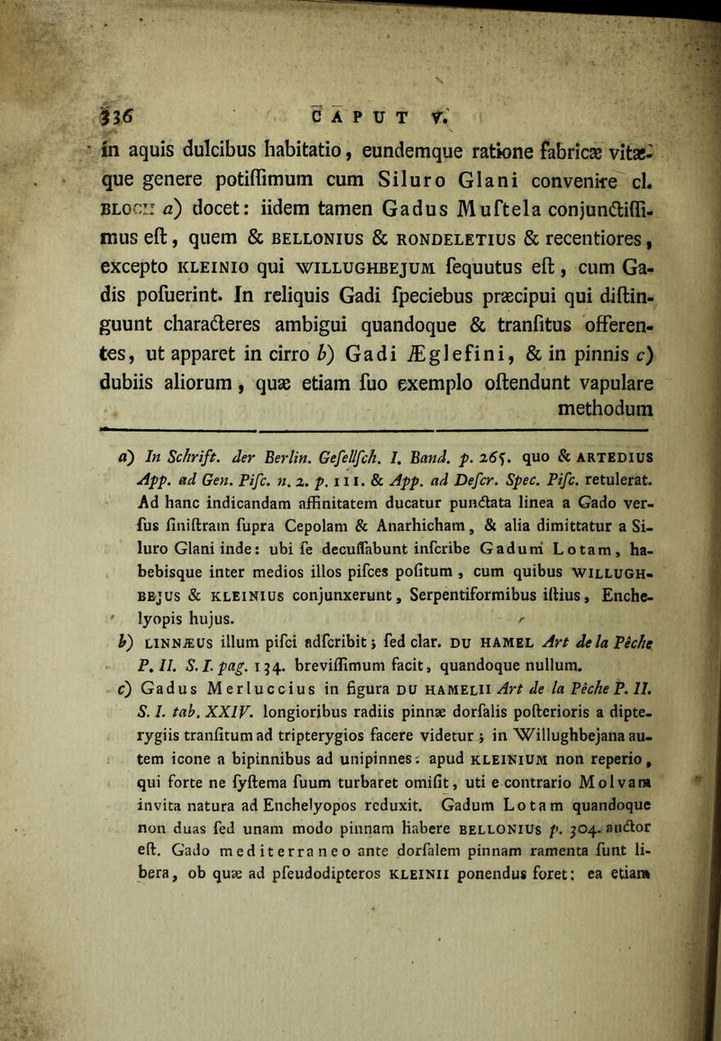 #36 C A P U T V. in aquis dulcibus habitatio, eundemque ratione fabricas vitas- que genere potiffimum cum Siluro Glani convenite cL blocii a) docet: iidem tamen Gadus Muftela conjun&ifli- mus eft, quem & bellonius & rondeletius & recentiores, excepto kleinio qui willughbejum fequutus eft, cum Ga- dis pofuerint. In reliquis Gadi fpeciebus prascipui qui diftin- guunt charadteres ambigui quandoque & tranfitus offeren- tes, ut apparet in cirro b) Gadi iEglefini, & in pinnis c) dubiis aliorum, quas etiam fuo exemplo offendunt vapulare methodum a) In Schrift. der Berlin. Gefellfch. I. Band. p. 2quo & artedius App. ad Gen. Pifc. n. 2. p. 111. & App. ad Defer. Spec. Pifc. retulerat. Ad hanc indicandam affinitatem ducatur pundlata linea a Gado ver- fus finiltram fupra Cepolam & Anarhicham, & alia dimittatur a Si- luro Glani inde: ubi Te decuflabunt inferibe Gadum Lotam, ha- bebisque inter medios illos pifces politum , cum quibus willugh- bbjus & kleinius conjunxerunt, Serpentiformibus illius, Enche- • lyopis hujus. r b) linnjeus illum pifei ndfcribit j fed clar. du hamel Art delaPeche P. 7/. S.I.pag. 154. breviffimum facit, quandoque nullum. c) Gadus Merluccius in figura du hamelii Art de la Peche P. 11. S. 1. tab. XXIV. longioribus radiis pinnae dorfalis pofterioris a dipte- rygiis tranlitumad tripterygios facere videtur i in Willughbejana au- tem icone a bipinnibus ad unipinnes; apud kleinium non reperio, qui forte ne fyftema fuum turbaret omilit, uti e contrario Molvana invita natura ad Enchelyopos reduxit. Gadum Lotam quandoque non duas fed unam modo pinnam habere bellonius p. 304. audior eft. Gado mediterraneo ante dorfalem pinnam ramenta funt li- bera, ob quae ad pfeudodipteros kleinii ponendus foret: ea etiam