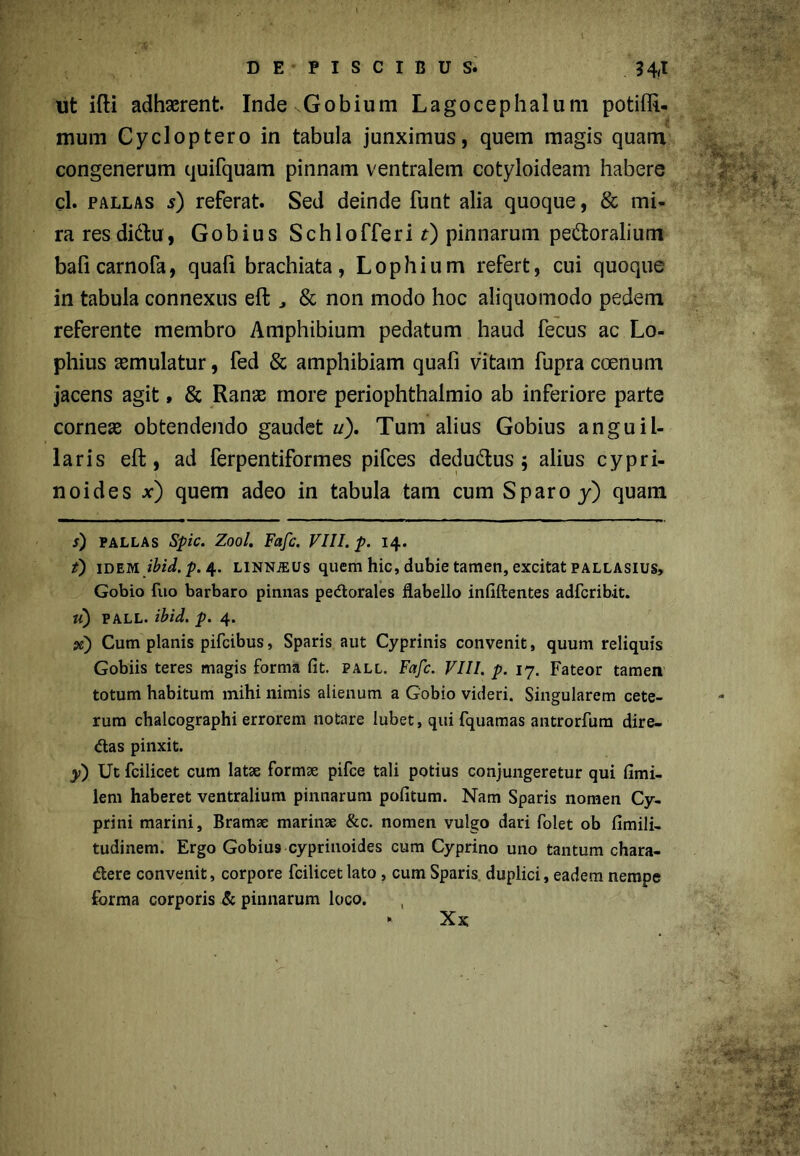 ut ifti adhaerent Inde Gobium Lagocephalum potiffi- mum Cycloptero in tabula junximus, quem magis quam congenerum quifquam pinnam ventralem cotyloideam habere cl. pallas s) referat. Sed deinde funt alia quoque, & mi- ra res didu, Gobius S chl offer i t) pinnarum pedoralium baficarnofa, quali brachiata, Lophium refert, cui quoque in tabula connexus eft , & non modo hoc aliquomodo pedem referente membro Amphibium pedatum haud fecus ac Lo- phius asmulatur, fed & amphibiam quafi vitam fupra coenum jacens agit, & Ranae more periophthalmio ab inferiore parte corneae obtendendo gaudet u). Tum alius Gobius anguil- laris eft, ad ferpentiformes pifces dedudus ; alius cypri- noides x) quem adeo in tabula tam cum Sparo y) quam s) pallas Spic. Zool. Fafc. VIII. p. 14. t) idem ibid. p. 4* LiNNiEUs quem hic, dubie tamen, excitat pallasius> Gobio fuo barbaro pinnas pedorales flabello infiftentes adfcribit. v) pall. ibid. p. 4. sc) Cum planis pifcibus, Sparis aut Cyprinis convenit, quum reliquis Gobiis teres magis forma fit. pall. Fafc. VIII. p. 17. Fateor tamen totum habitum mihi nimis alienum a Gobio videri. Singularem cete- rum chalcographi errorem notare lubet, qui fquamas antrorfum dire- das pinxit. y) Ut fcilicet cum latae formae pifce tali potius conjungeretur qui fimi- lem haberet ventralium pinnarum politum. Nam Sparis nomen Cy- prini marini, Bramae marinae &c. nomen vulgo dari folet ob fimili- tudinem. Ergo Gobius cyprinoides cum Cyprino uno tantum chara- dere convenit, corpore fcilicet lato , cum Sparis duplici, eadem nempe forma corporis & pinnarum loco. * Xx