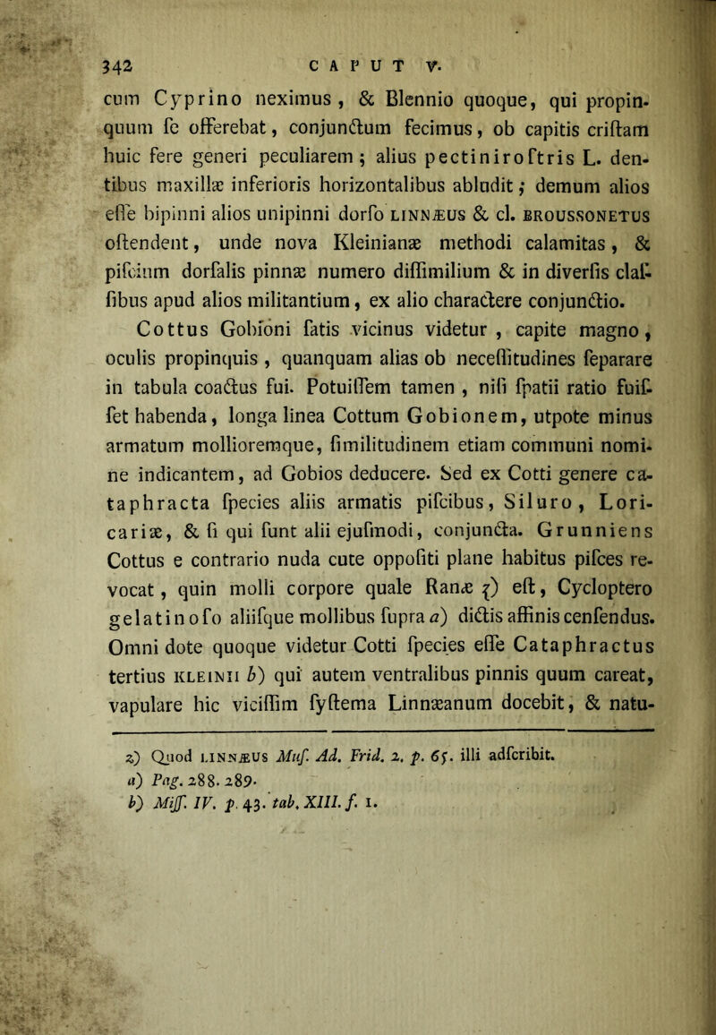 cum Cyprino neximus, & Biennio quoque, qui propin- quum fe offerebat, conjundum fecimus, ob capitis criftam huic fere generi peculiarem; alius pectiniroftris L. den- tibus maxillas inferioris horizontalibus abludit ,• demum alios effe bipinni alios unipinni dorfo LiNNiEUs & cl. eroussonetus oftendent, unde nova Kleinianae methodi calamitas, & pifeinm dorfalis pinnas numero diffimilium & in diverfis clal- fibus apud alios militantium, ex alio charactere conjundio. Cottus Gobioni fatis vicinus videtur , capite magno, oculis propinquis , quanquam alias ob necellitudines feparare in tabula coadus fui. Potuiffem tamen , nili fpatii ratio fuif- fet habenda, longa linea Cottum Gobionem, utpote minus armatum mollioremque, fimilitudinem etiam communi nomi- ne indicantem, ad Gobios deducere. Sed ex Cotti genere ca- taphracta fpecies aliis armatis pifcibus, Siluro, Lori- carias, & fi qui funt alii ejufmodi, eonjunda. Grunniens Cottus e contrario nuda cute oppofiti plane habitus pifces re- vocat , quin molli corpore quale Ranas {) eft, Cycloptero gelatinofo aliifque mollibus fupra a) didis affiniscenfendus. Omni dote quoque videtur Cotti fpecies effe Cataphractus tertius kleinii b) qui autem ventralibus pinnis quum careat, vapulare hic viciffim fyftema Linnasanum docebit, & natu- z) Quod linnjeus Muf. Ad. Frid. z. p. 6f. illi adfcribit. a) Pag. 288. 2 89- b) Mijf. IV. . tab.Xlll.f I.