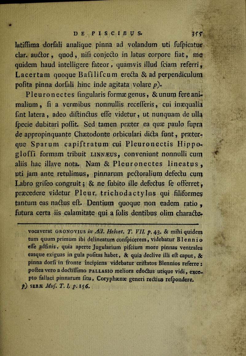 latiflima dorfali analique pinna ad volandum uti fufpicatur clar. audior, quod, nifi conjecto in latus corpore fiat, me quidem haud intelligere fateor, quamvis illud fciam referri, Lacertam quoque Bafilifcum eredta & ad perpendiculum polita pinna dorfali hinc inde agitata volare /?). Pleuronectes lingularis formas genus, & unum fere ani- malium , fi a vermibus nonnullis recelleris, cui inaequalia fint latera, adeo diftindfcus elfe videtur, ut nunquam de ulla fpecie dubitari poflit. Sed tamen praeter ea quae paulo fupra de appropinquante Chaetodonte orbiculari dicta funt, praeter- que Sparum capiftratum cui Pleuronectis Hippo- gloffi formam tribuit linnjeus, conveniunt nonnulli cum aliis hac illave nota. Nam & Pleuronectes lineatus, uti jam ante retulimus, pinnarum pedtoralium defectu cum Labro grifeo congruit; & ne fubito ille defectus fe offerret, praecedere videtur Pleur. trichodactylus qui filiformes tantum eas nadtus eft. Dentium quoque non eadem ratio , futura certa iis calamitate qui a folis dentibus olim charadte- vocaverat gronovius iu AB. Helvet. T. VII. p. 43. & mihi quidem tum quum primum ibi delineatum confpicerem, videbatur Biennio efle adfinis, quia aperte Jugularium pifcium more pinnas ventrales easque exiguas in gula politas habet, & quia declive illi eft caput, & pinna dorfi in fronte incipiens videbatur criftatos Blennios referre: poftea vero a dodilfimo pallasio meliora edodus utique vidi, exce- pto fallaci pinnarum litu, Coryphaenae generi redius refpondere.