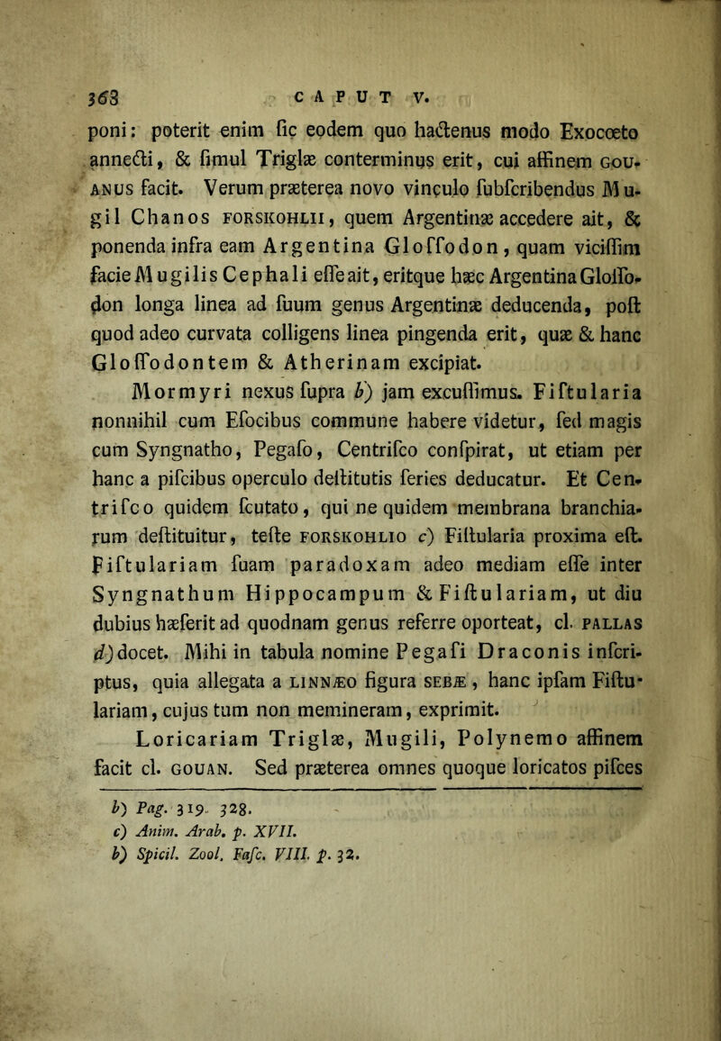 poni: poterit enim fic eodem quo ha&enus modo Exocoeto anne&i, & fimul Triglae conterminus erit, cui affinem gou- anus facit. Verum praeterea novo vinculo fubfcribendus Mu- gil Chanos forskohlii, quem Argentinae accedere ait, & ponenda infra eam Argentina Gloffodon, quam viciffim facieM u g i li s C e p ha 1 i efleait, eritque haec ArgentinaGloffio- don longa linea ad fuum genus Argentinae deducenda, poft quod adeo curvata colligens linea pingenda erit, quae &hanc Gloffiodontem & Atherinam excipiat. Mormyri nexus fupra b) jam excuffimus. Fiftularia nonnihil cum Efocibus commune habere videtur, fed magis cum Syngnatho, Pegafo, Centrifco confpirat, ut etiam per hanc a pifcibus operculo deifitutis feries deducatur. Et Cen* trifco quidem fcutato, qui ne quidem membrana branchia- rum deffcituitur, tefte forskohlio c) Filtularia proxima eft. Fiftulariam fuam paradoxam adeo mediam eflfe inter Syngnathum Hippocampum & Fiftulariam, ut diu dubius baeferit ad quodnam genus referre oporteat, cl. pallas Edocet. Mihi in tabula nomine Pegafi Draconis infcri- ptus, quia allegata a linnjeo figura SEBiE , hanc ipfam Fiftu- lariam, cujus tum non memineram, exprimit. Loricariam Triglae, Mugili, Polynemo affinem facit cl. gouan. Sed praeterea omnes quoque loricatos pifces b) Pag. 319 328. c) Anim. Arab. p. XVII. b) Spicii. Zool, Fafc. VIII. p. }2.