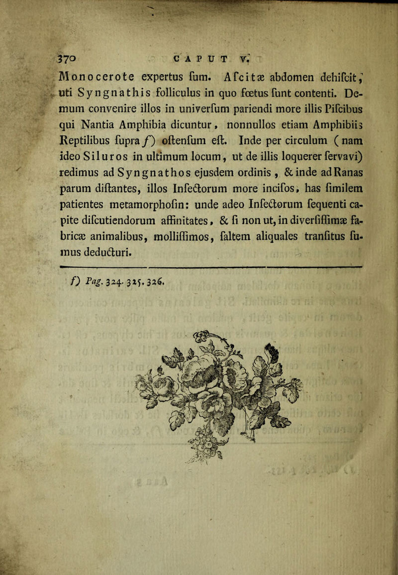 Monocerote expertus fum. Afcitae abdomen dehifcit, uti Syngnathis folliculus in quo foetus funt contenti. De- mum convenire illos in univerfum pariendi more illis Pifcibus qui Nantia Amphibia dicuntur, nonnullos etiam Amphibiis Reptilibus fupra /) oftenfum eft. Inde per circulum ( nam ideo Siluros in ultimum locum, ut de illis loquerer fer va vi) redimus adSyngnathos ejusdem ordinis , &inde ad Ranas parum diftantes, illos Infettorum more incifos, has fimilem patientes metamorphofin: unde adeo Infe&orum fequenti ca- pite difcutiendorum affinitates, & fi non ut, in diverfiffimae fa- bricas animalibus, molliffimos, faltem aliquales tranfitus fu- mus dedu&uri. f) 3H' 3Ai‘32^